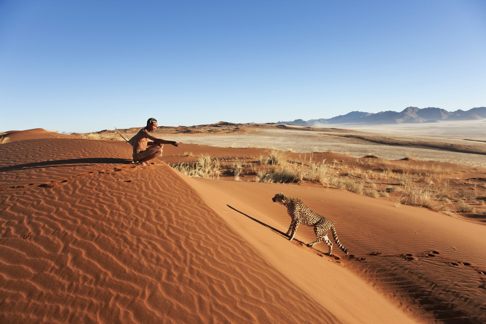 A San hunter tracks a cheetah on a dune in the desert, Namibia