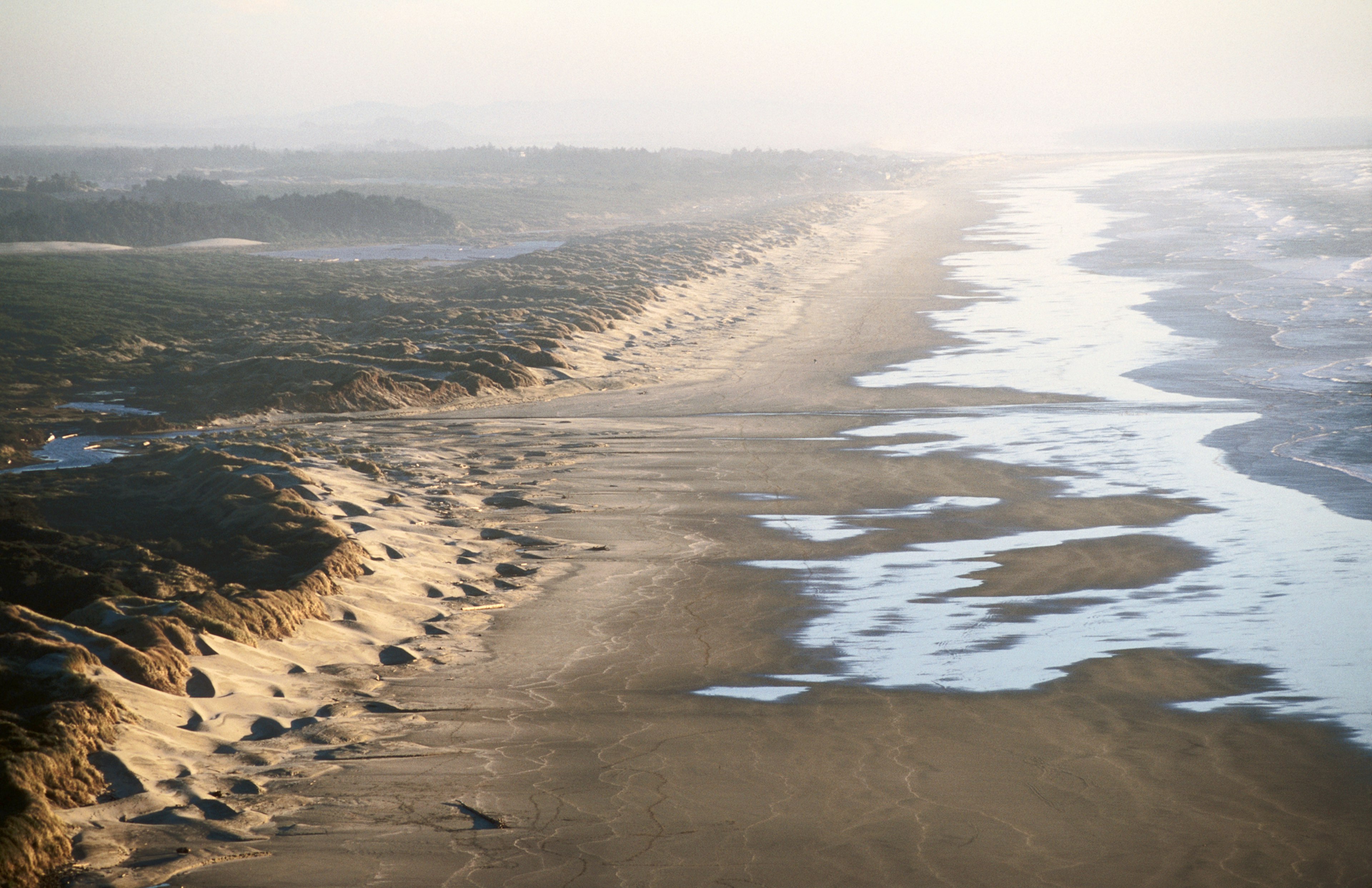 Overhead view of Florence Beach.