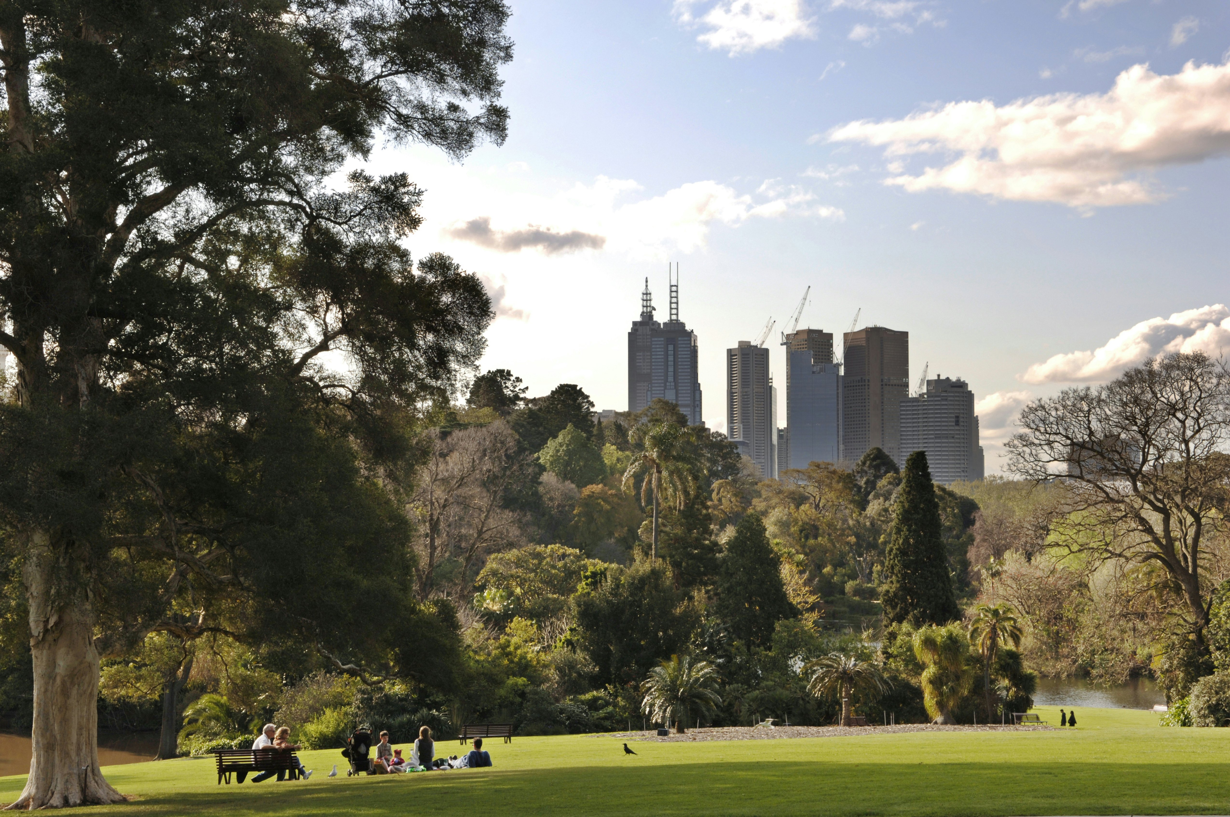 Melbourne skyline from the Royal Botanic Gardens, with people on benches by the trees.