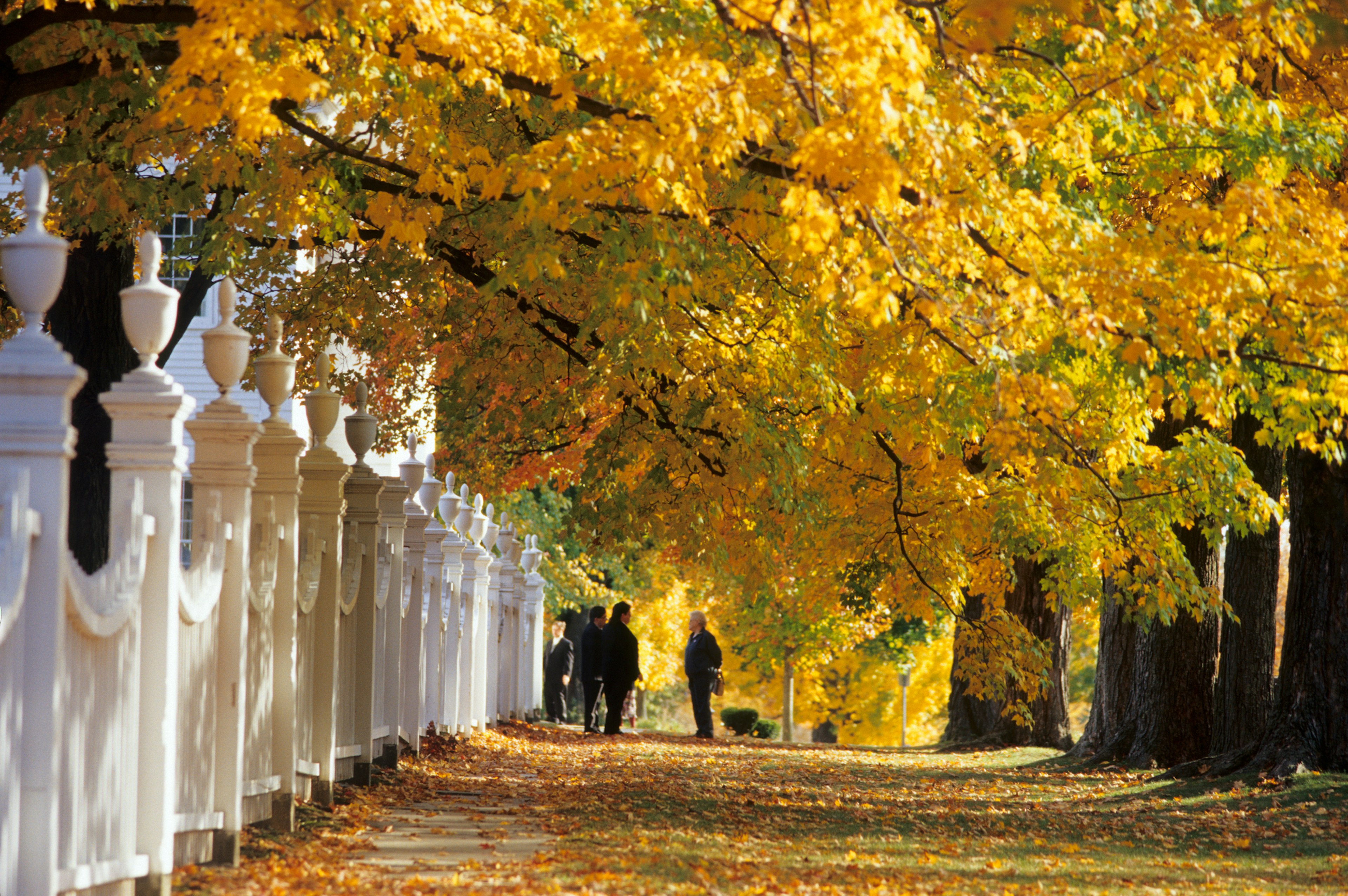 Fence of the cemetery, Old Bennington