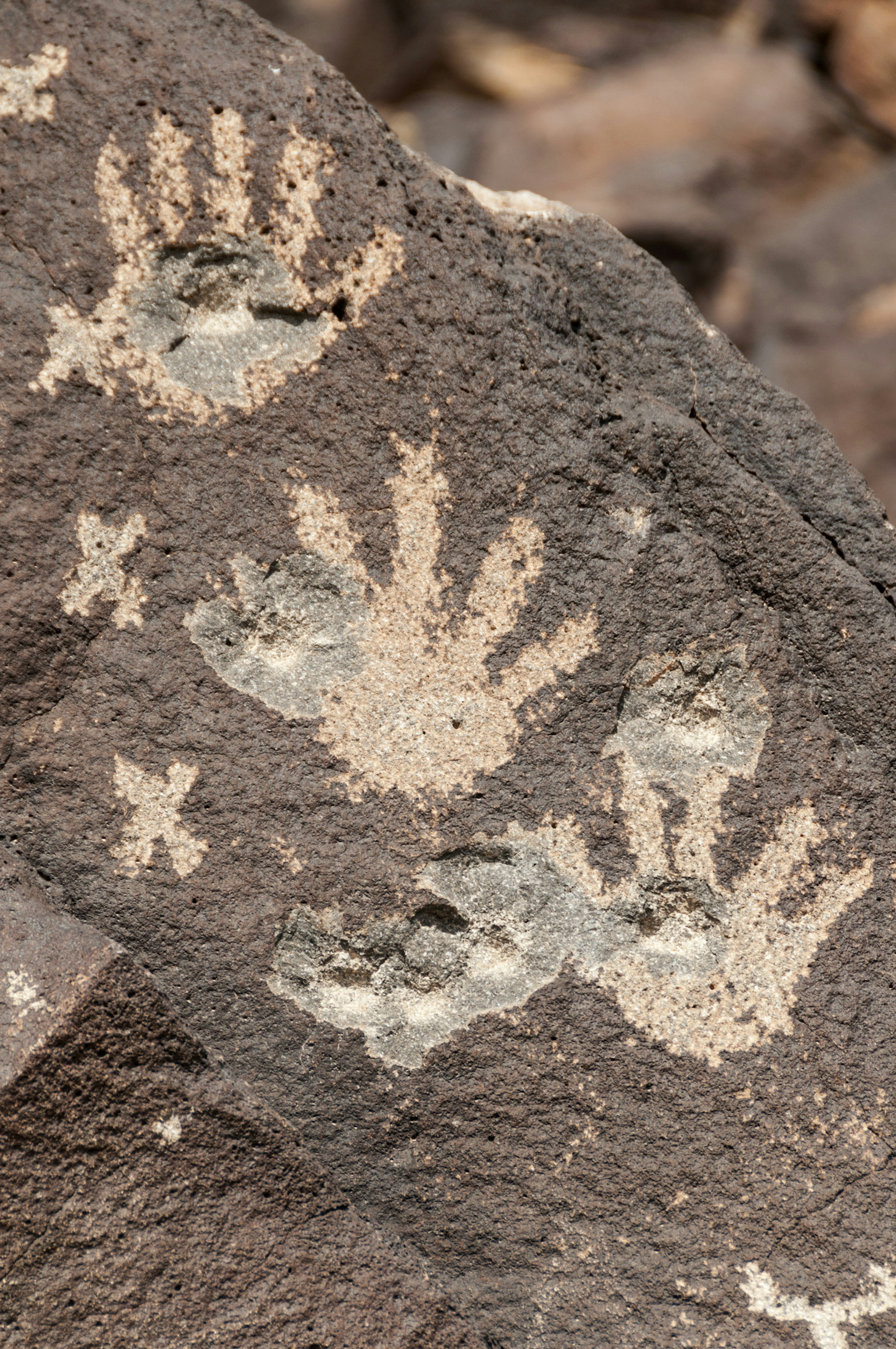 Petroglyphs on Basalt