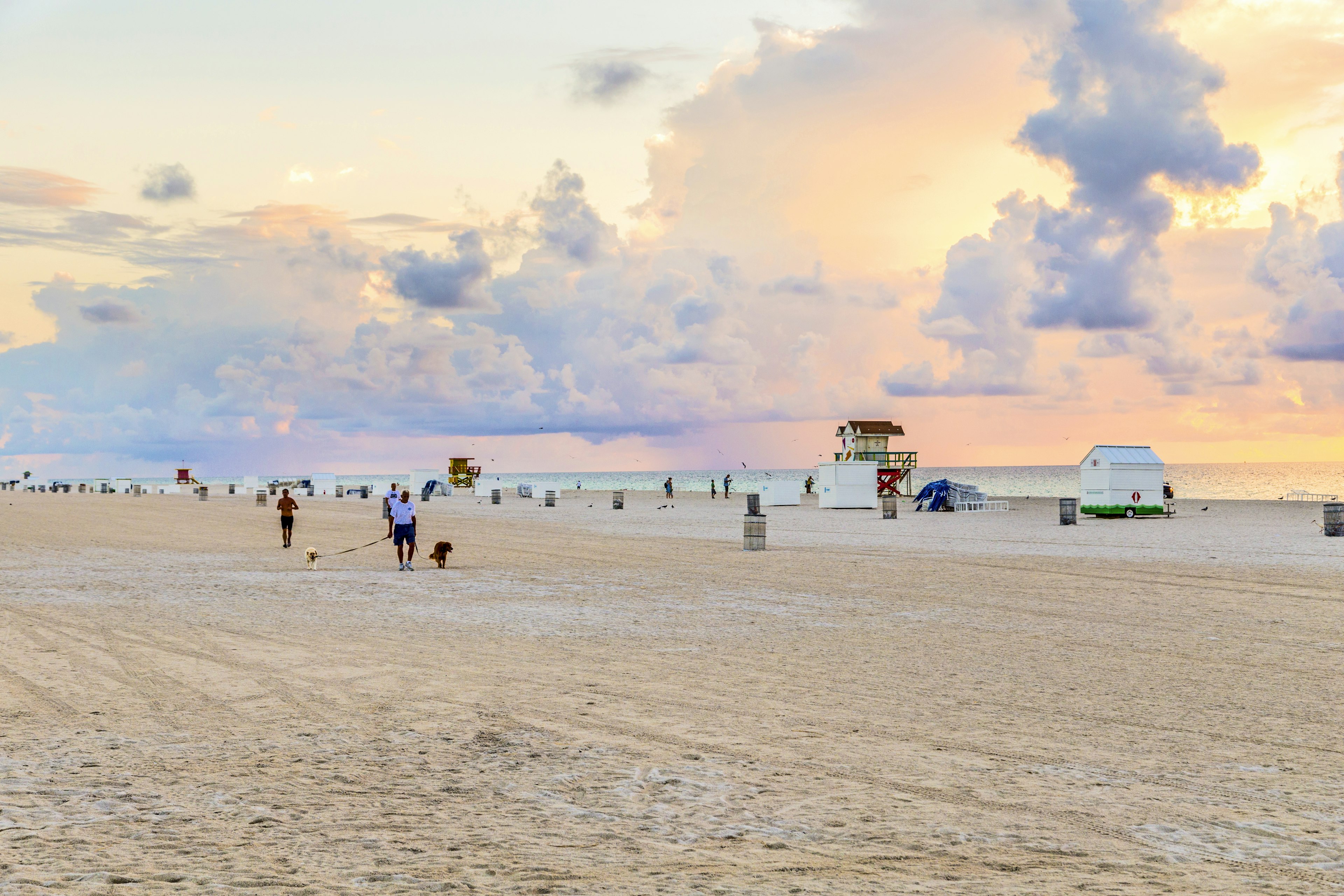 Man walks with his dogs in South Beach, Miami