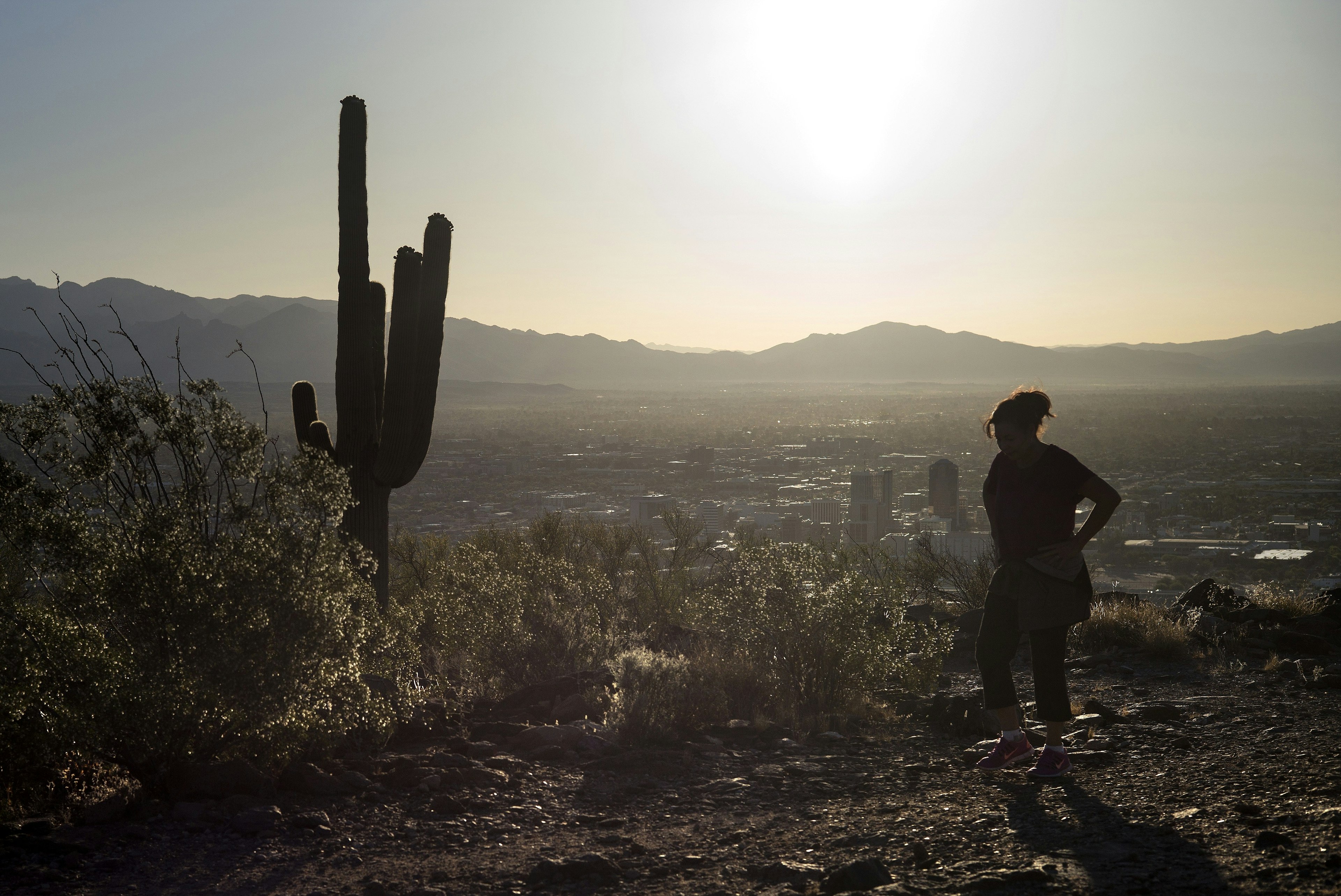 US-LANDSCAPE-TUCSON