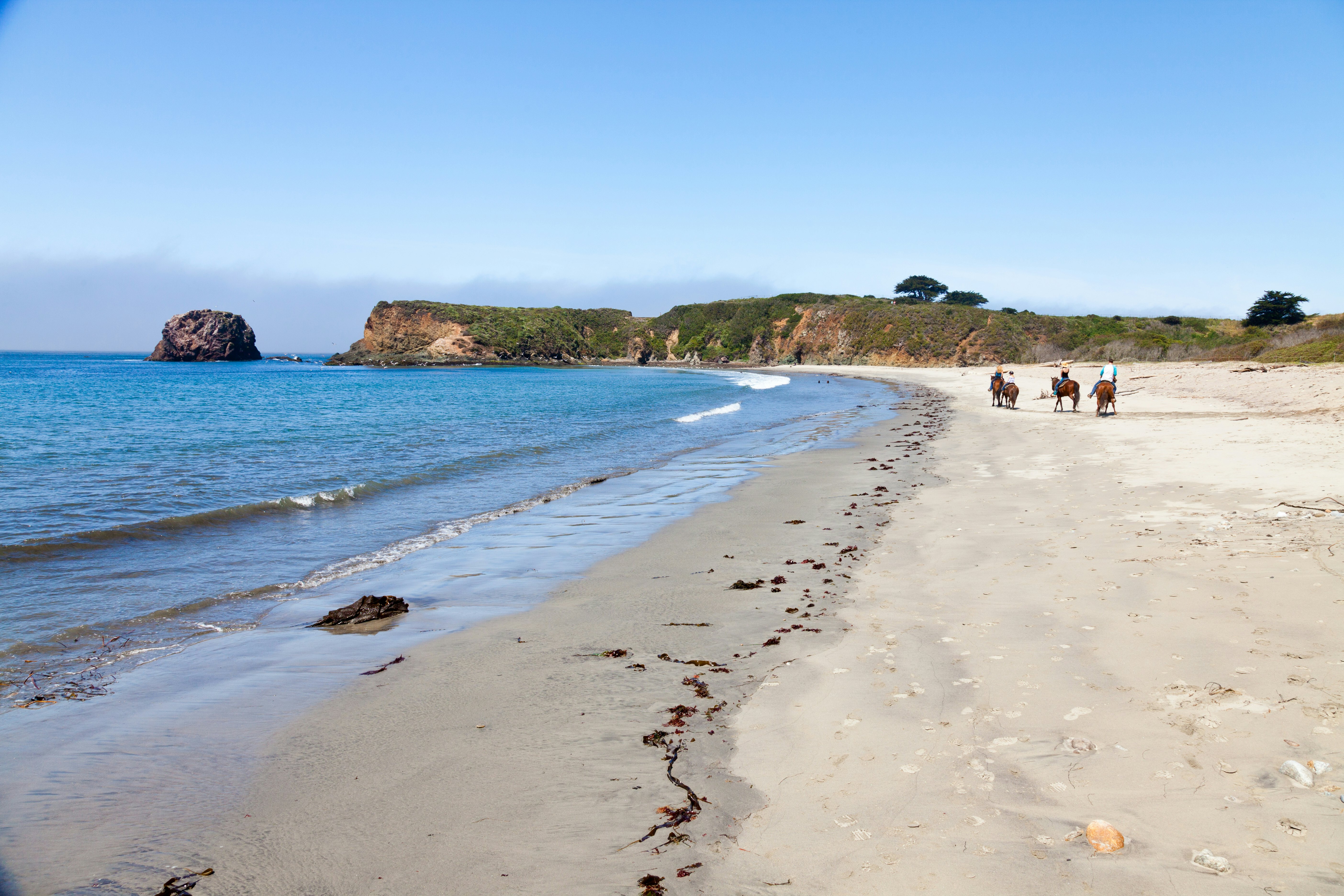 Horse riders on beach