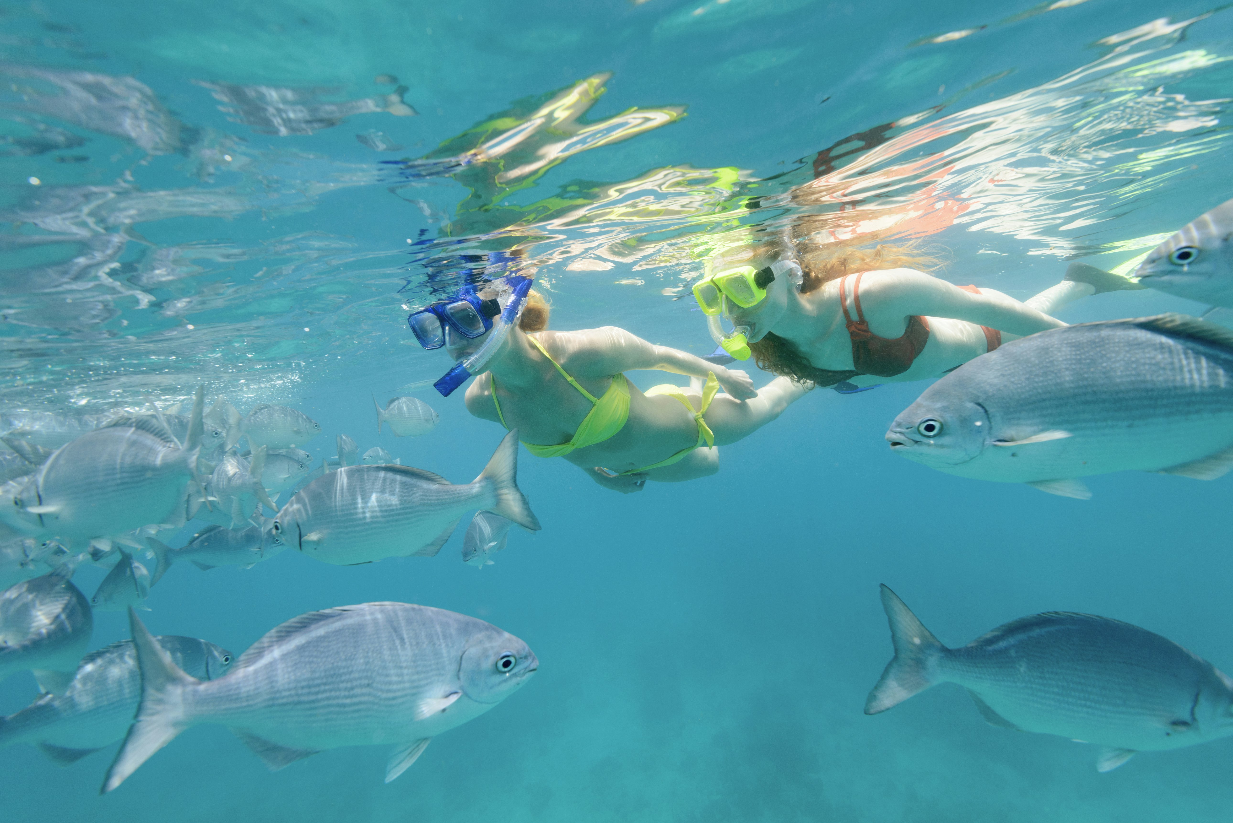 Two young women snorkeling in the Caribbean Sea off Barbados