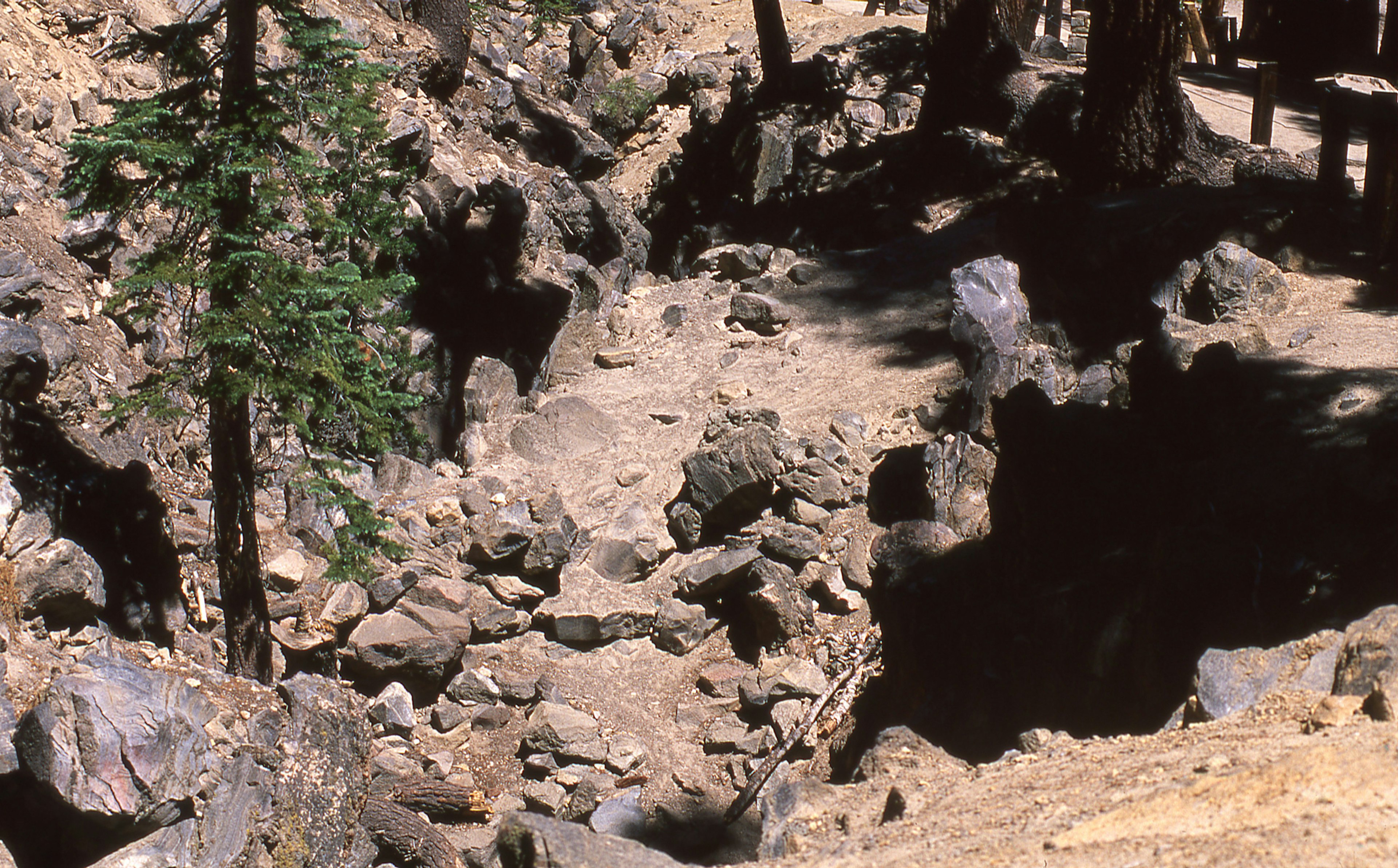 Earthquake Fault on Minaret Road near Mammoth Lakes California