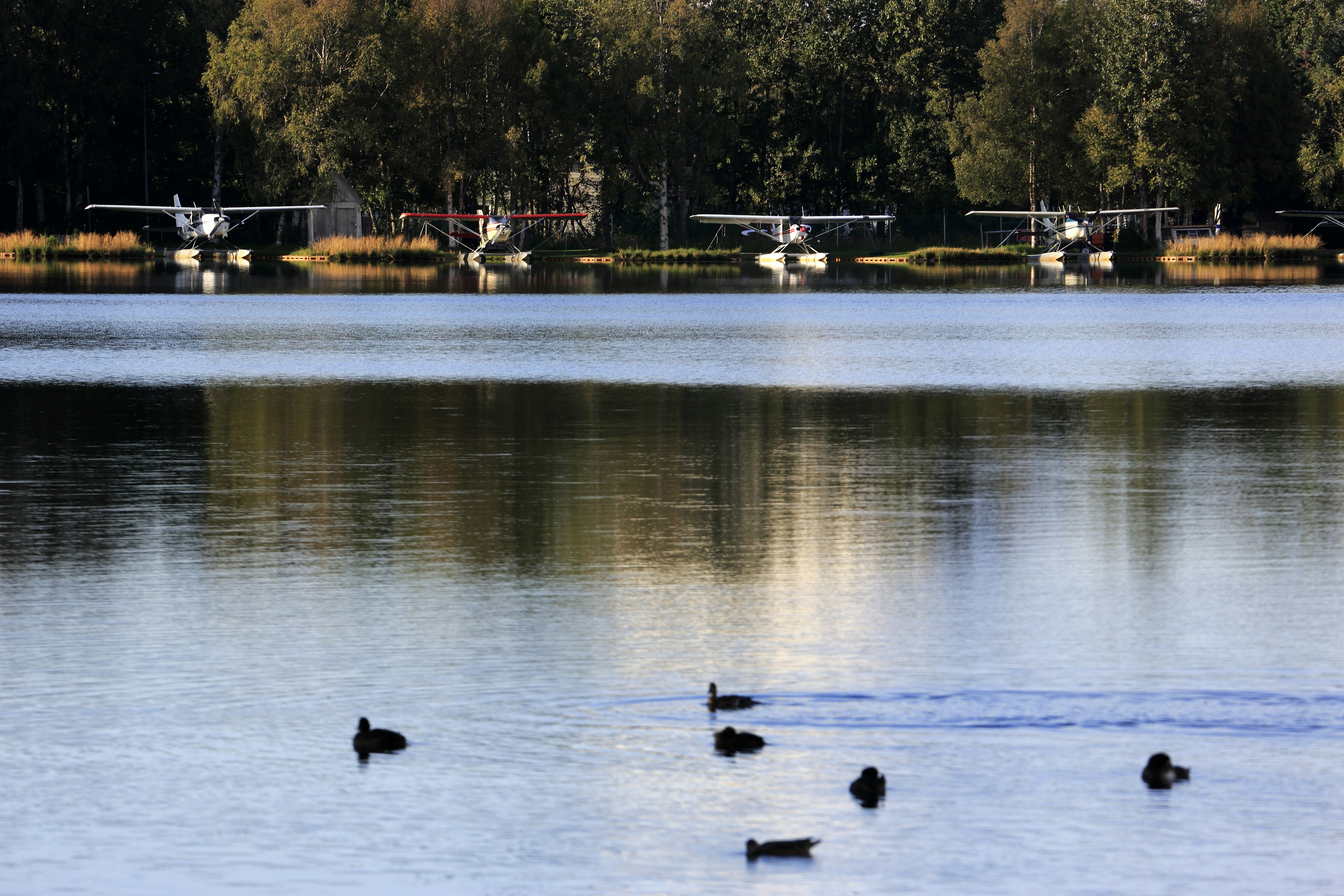 Lake Hood Seaplane Base