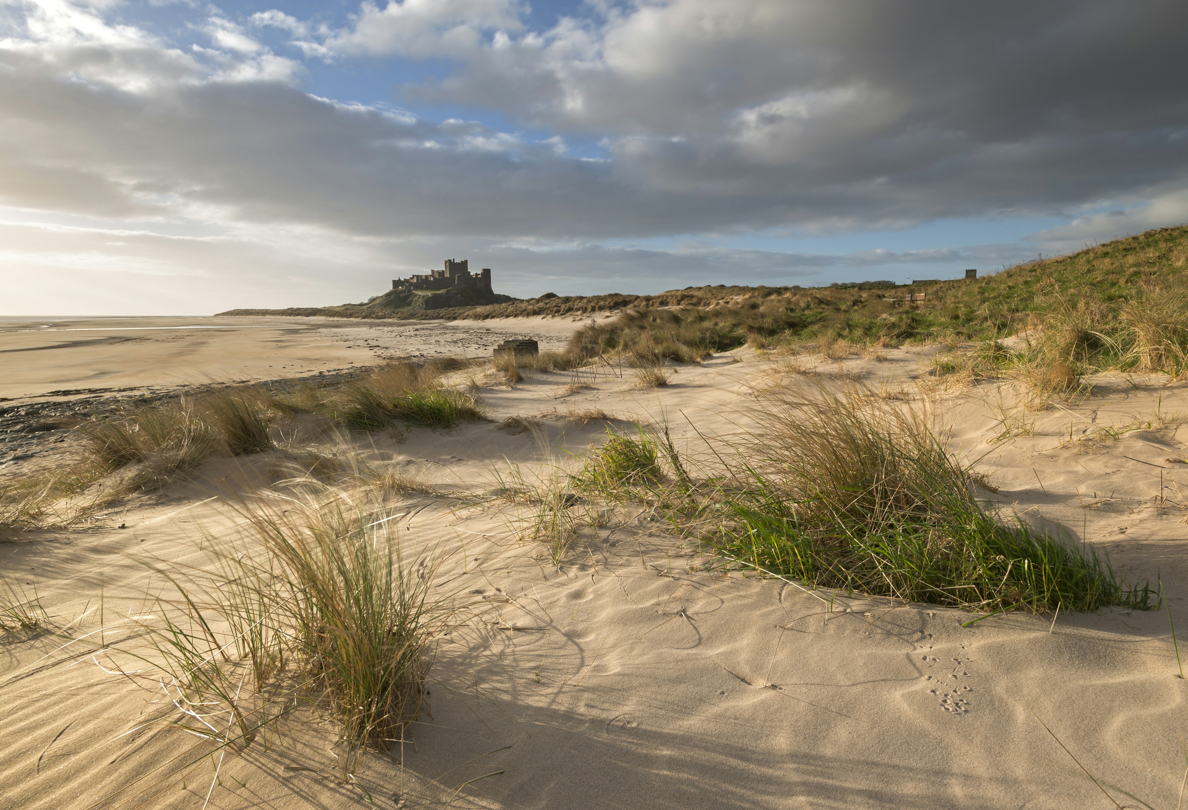 Sand dunes above Bamburgh Beach, with Bamburgh Castle in the background, Northumberland