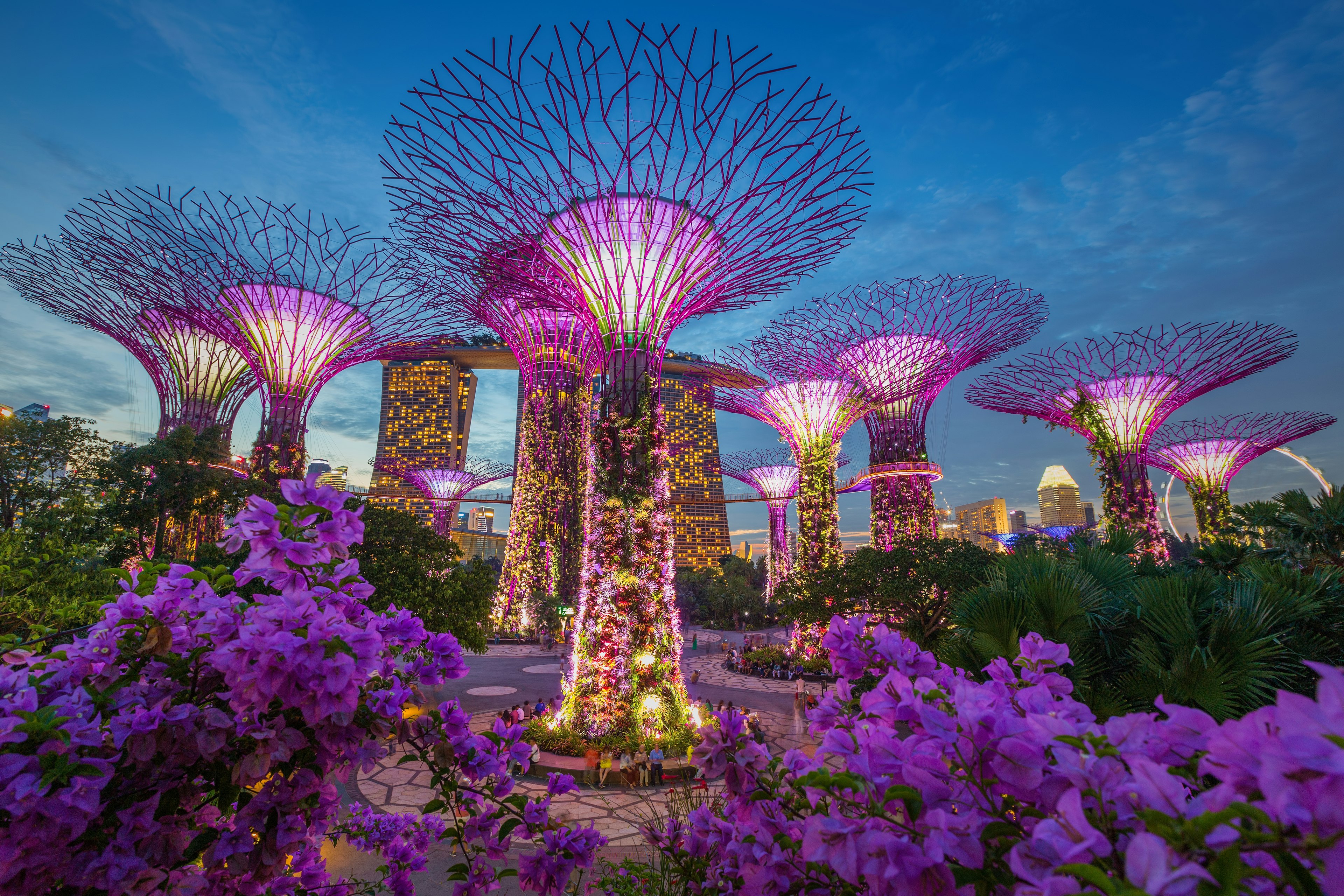 Singapore's Gardens by the Bay