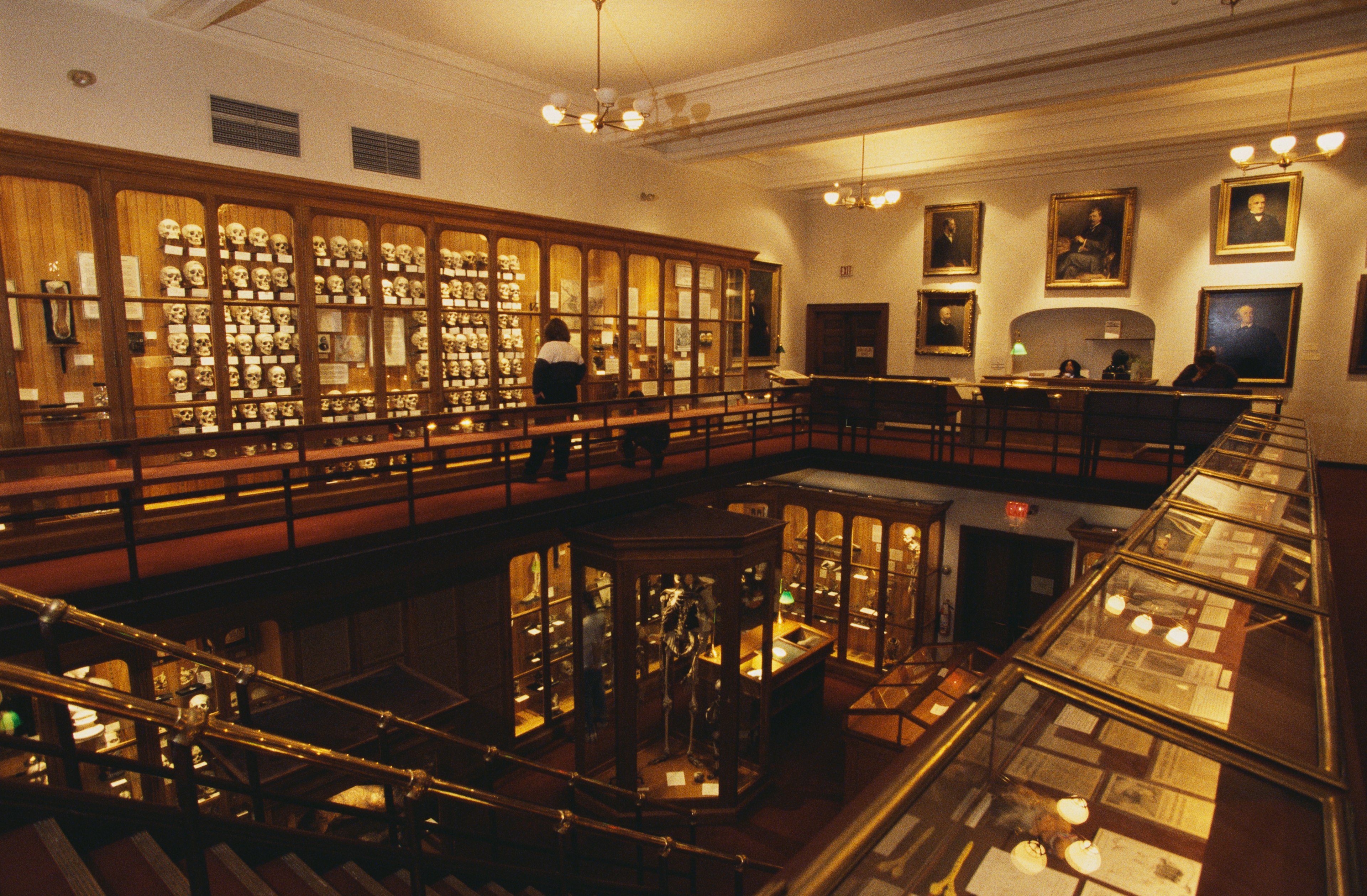 Inside the Mütter Museum, Philadelphia