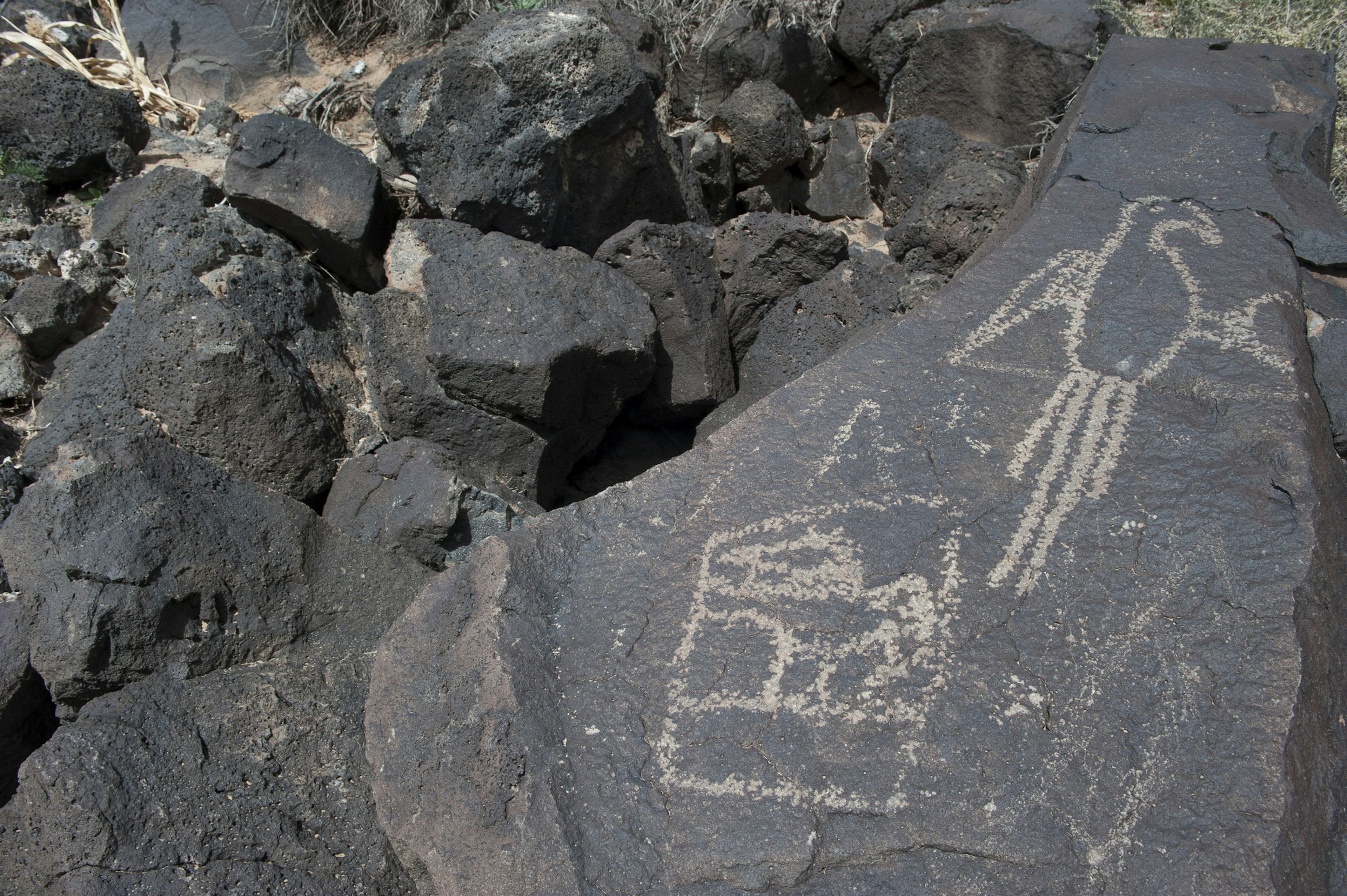 Carvings at Petroglyph National Monument, Albuquerque, New Mexico, USA