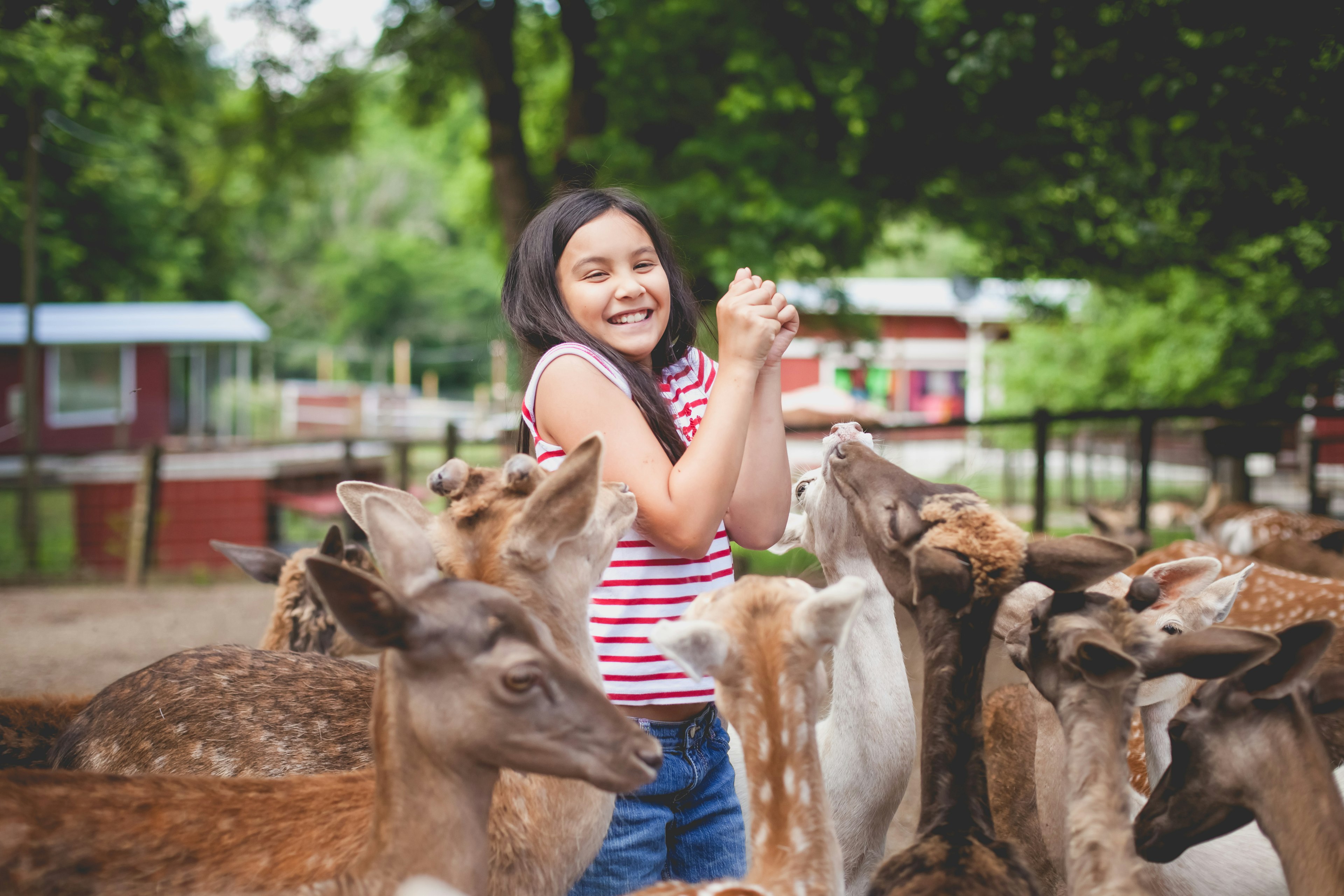 Girl at a petting zoo