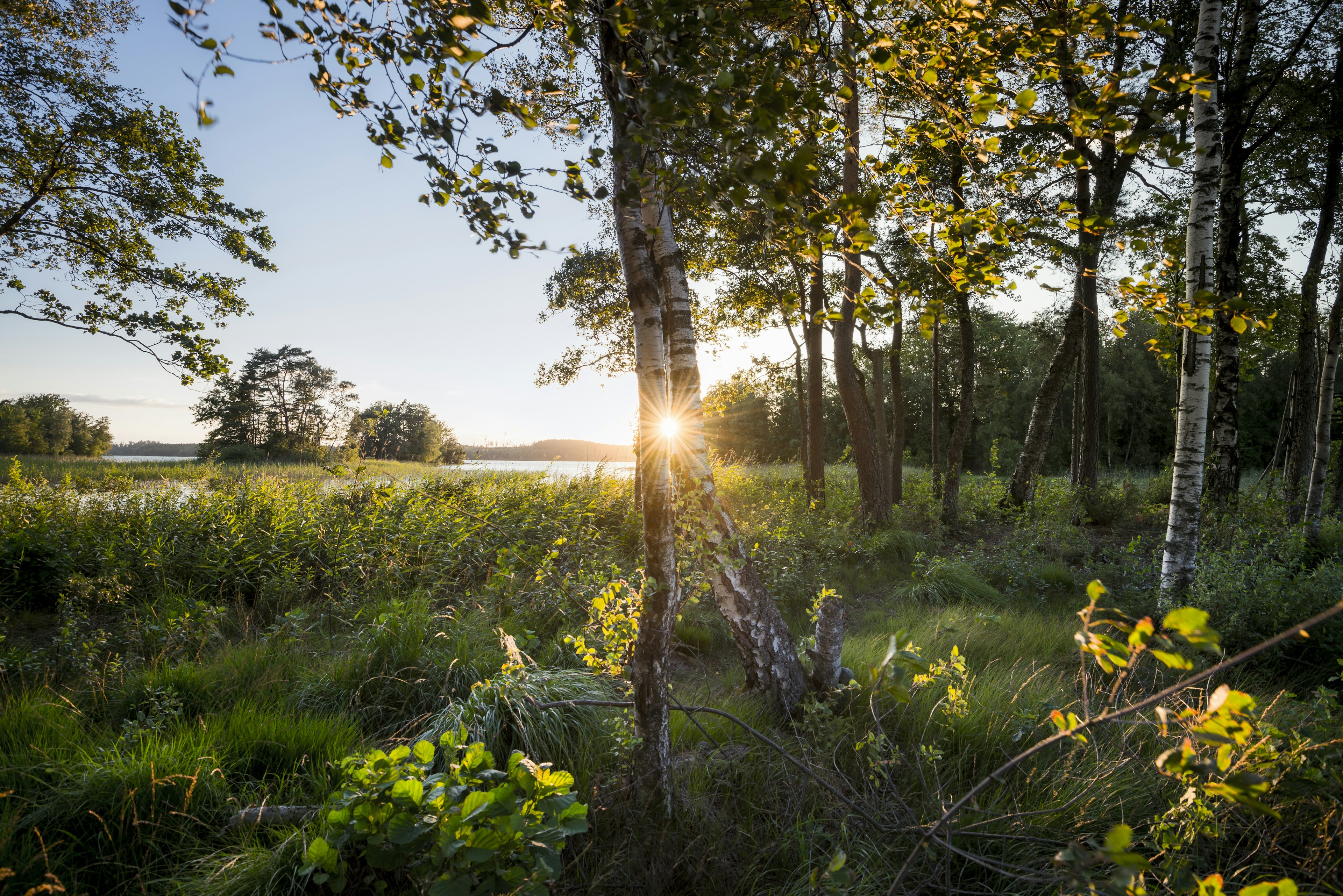 Sweden, Lake Bolmen, sunset