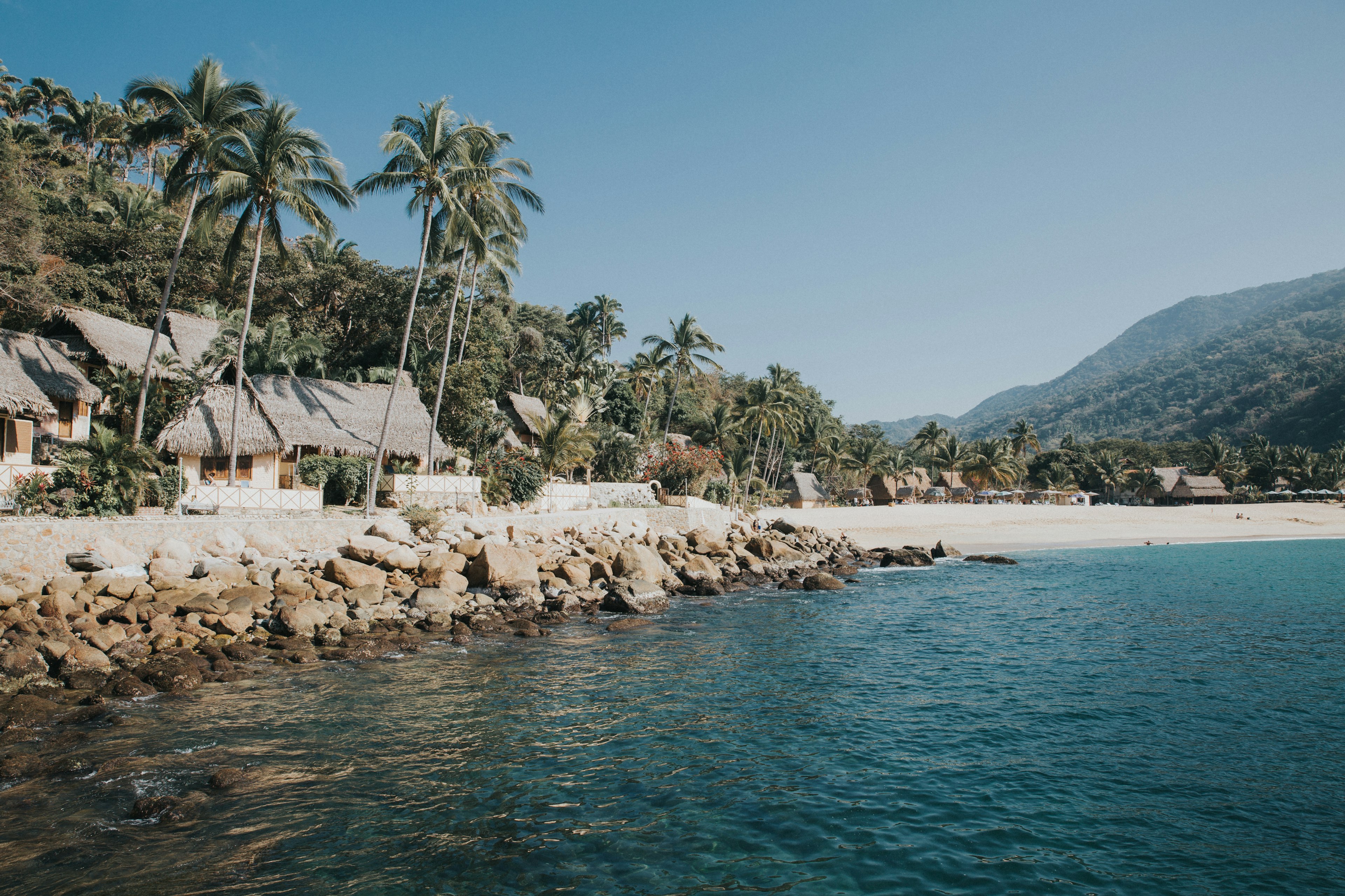 Palm trees line a sunny coastline in Mexico.