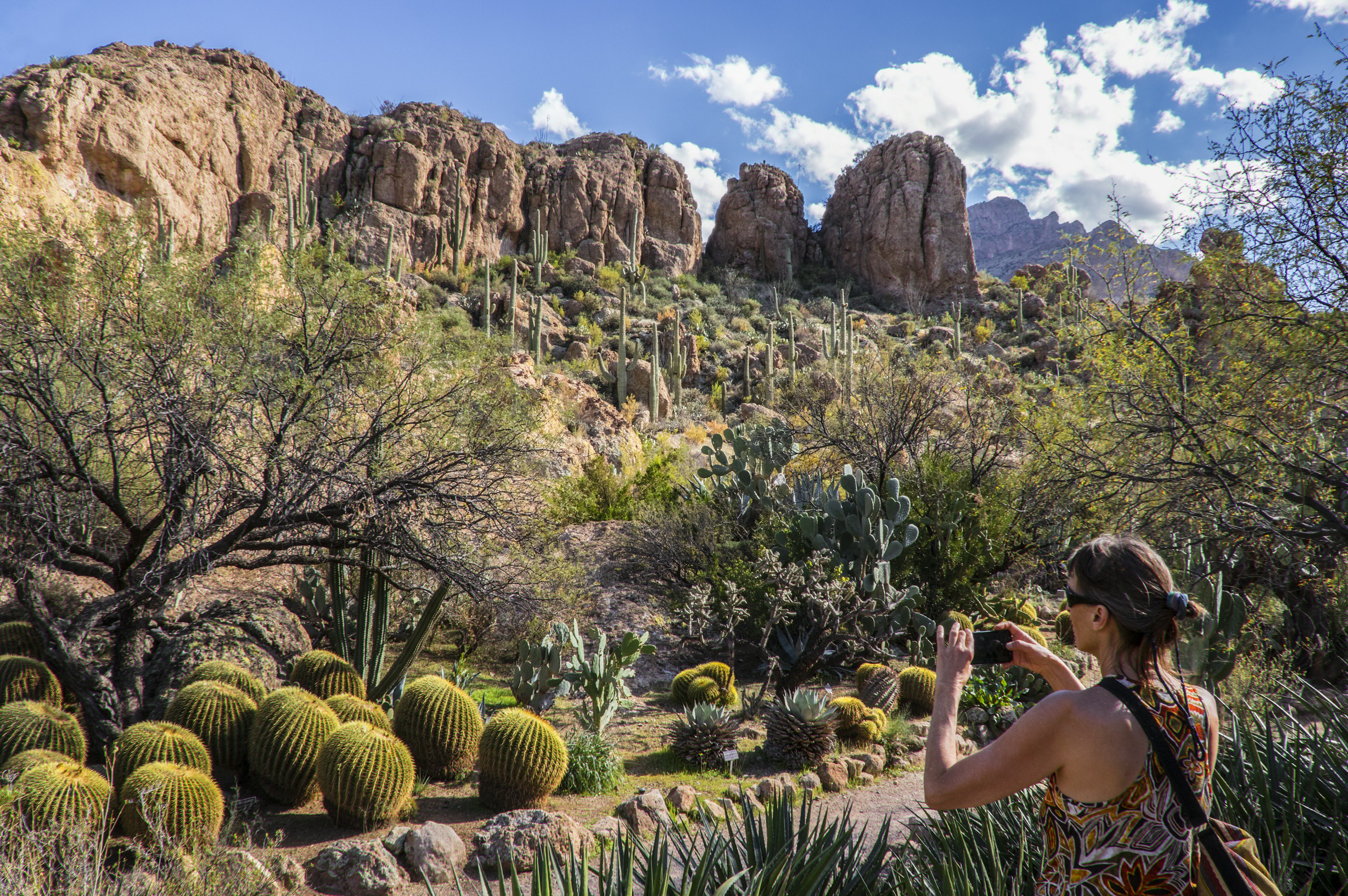 Desert garden photography