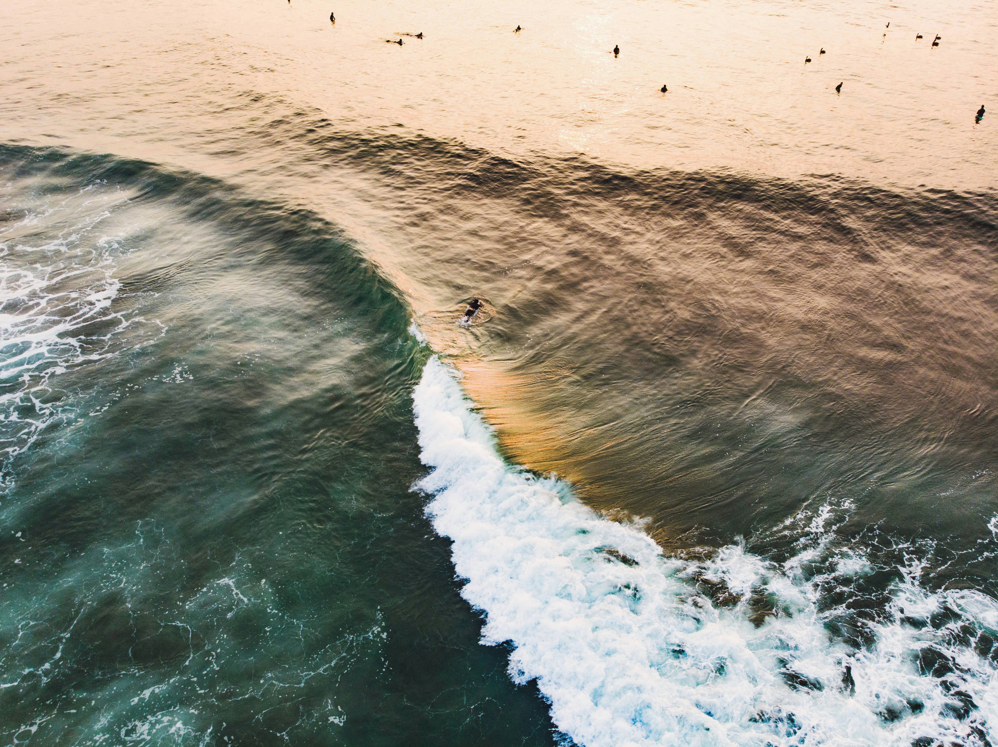 Surfers paddling out in the water waiting for a wave. There's no land anywhere in shot