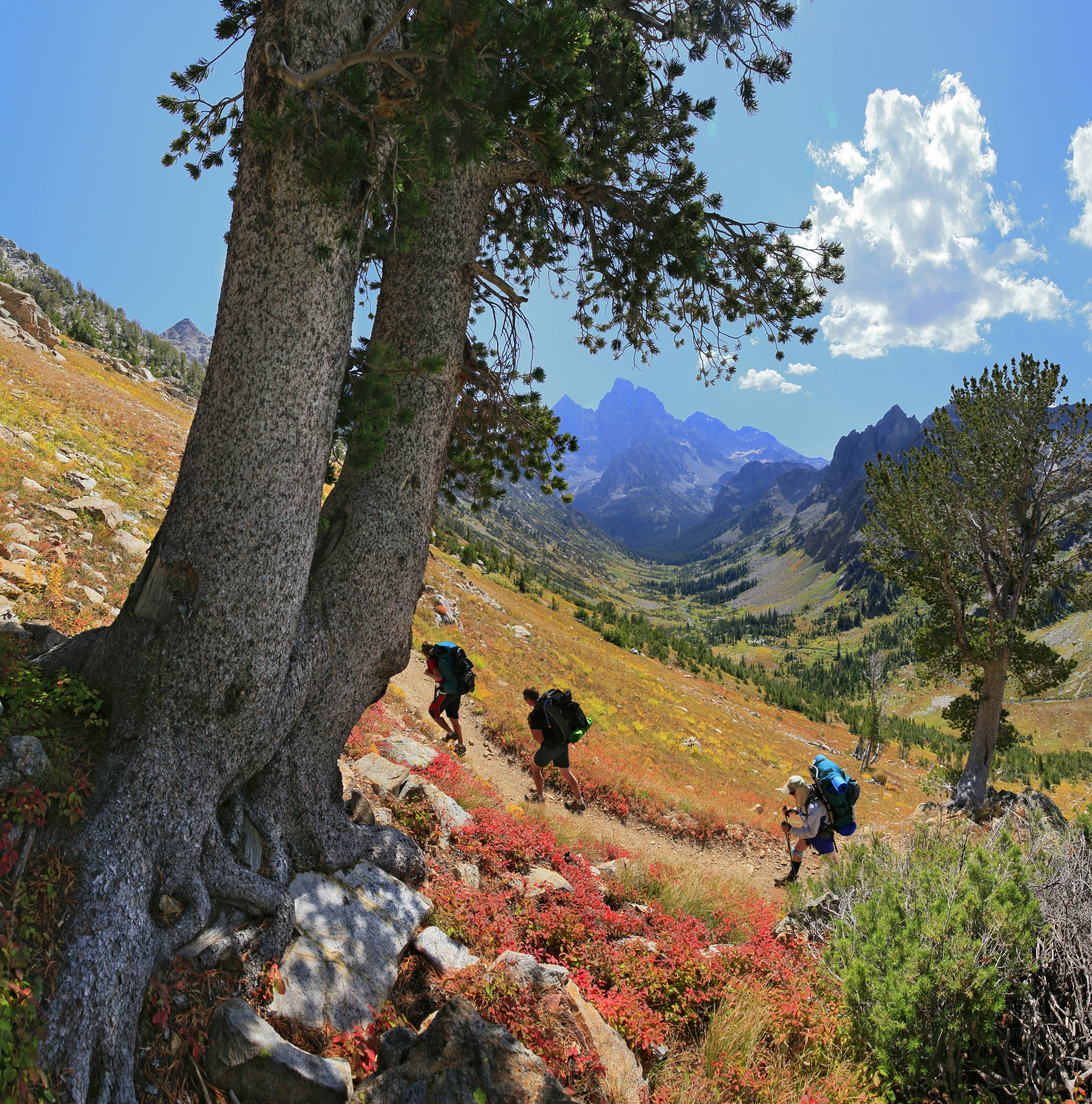 Hikers in Grand Teton National Park