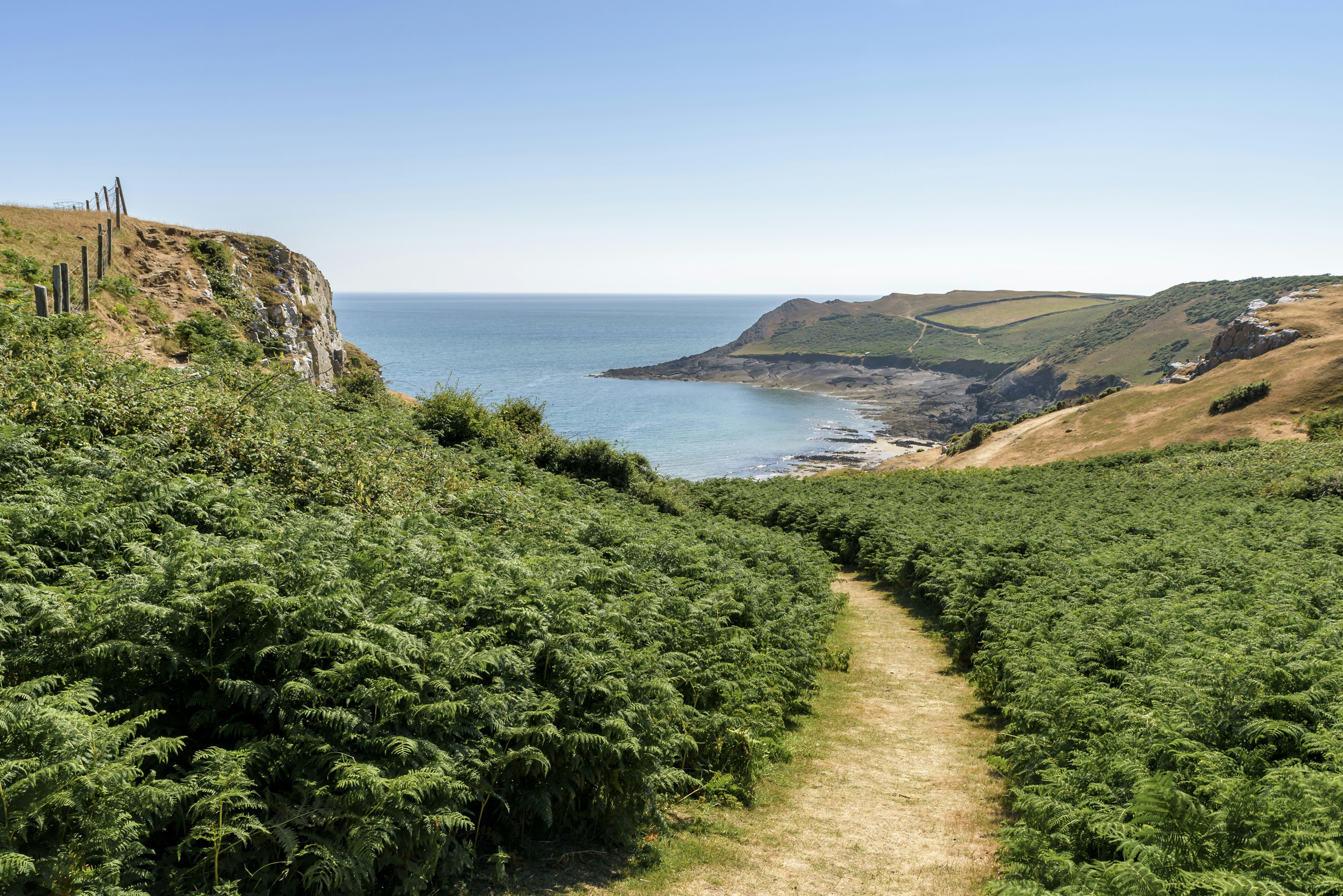 A path leading through foliage, towards the sea and distant headland, on a bright summers day. The path is part of the Wales Coast Path