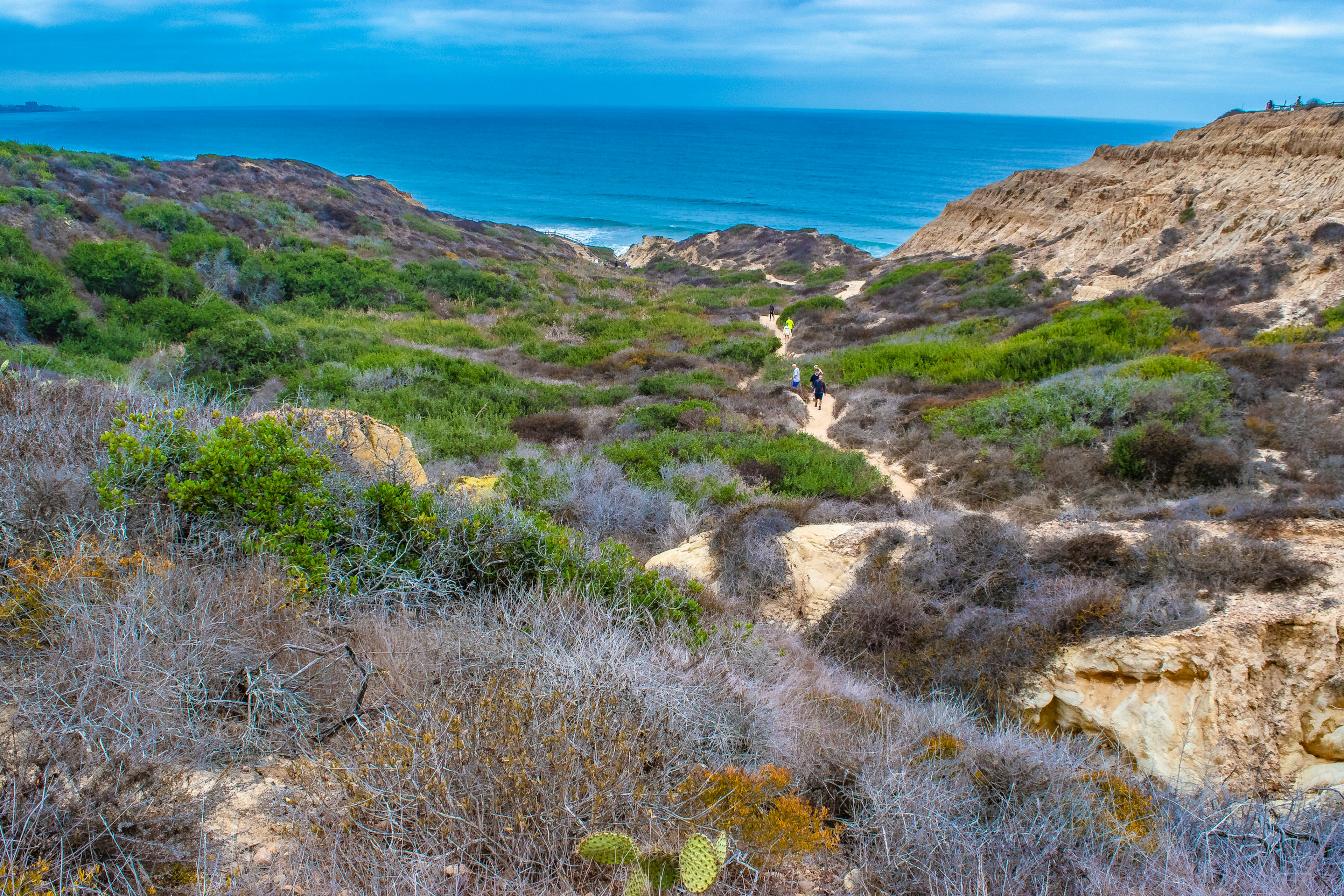 Gorgeous Early Morning Hike in La Jolla, California