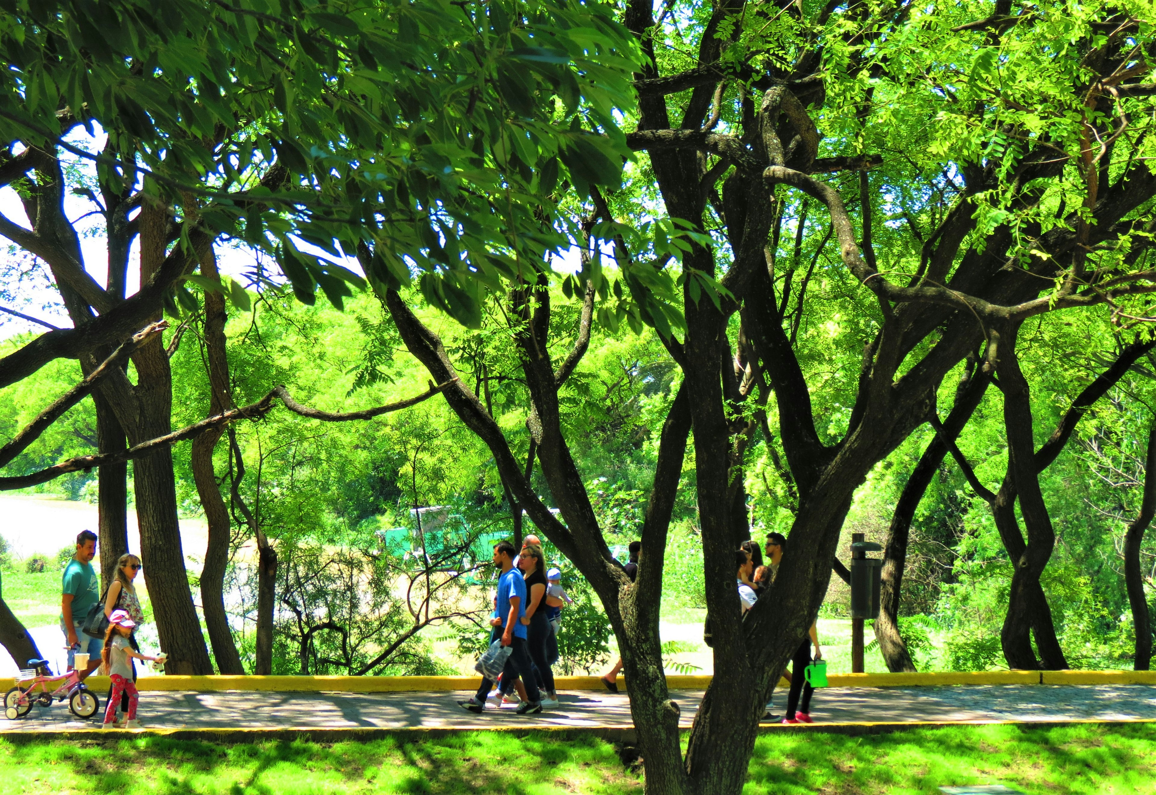 People at the Costanera Sur Ecological Reserve Park in Buenos Aires city.