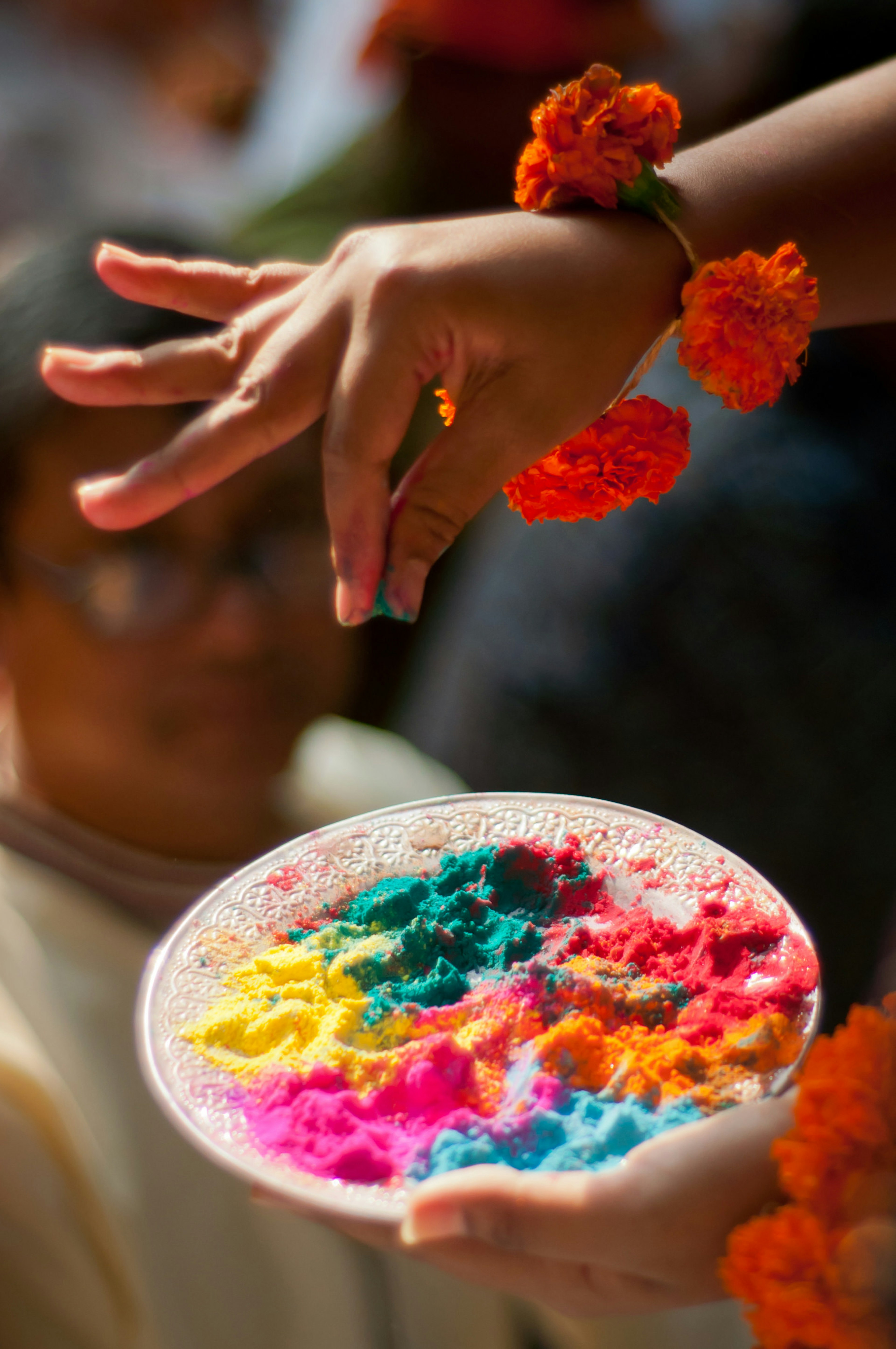 Colour festival powders and hand