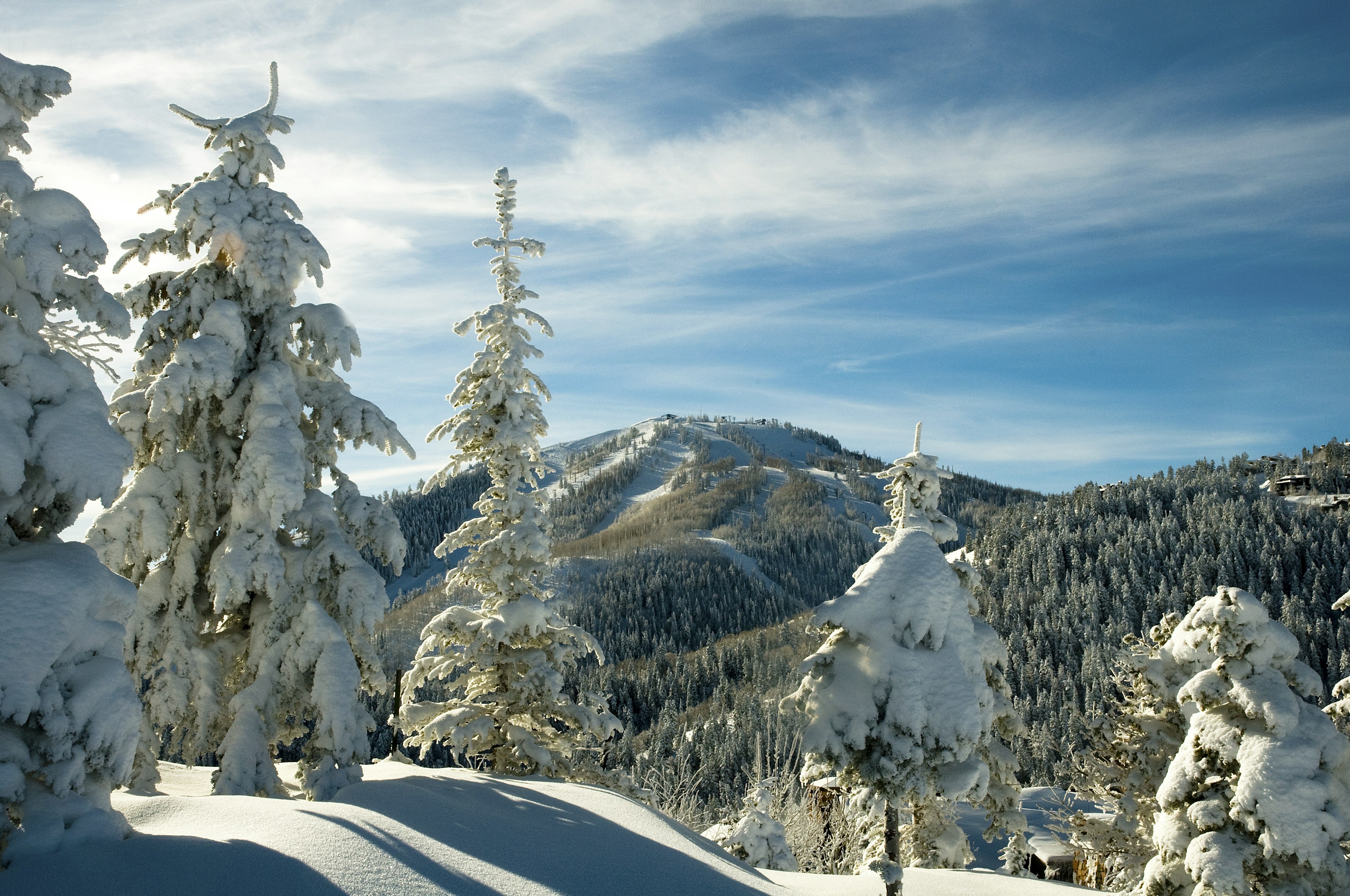 Pillows of new fallen snow bedeck pine trees at Deer Valley Resort with Bald mountain in background on snowy day in Park City, Utah.
Cold Temperature Nature Horizontal Outdoors USA Tree Sky Cloud - Sky Winter Pine Tree Mountain Day Shadow Snow Western USA Utah Park City - Utah Color Image No People Photography Bald Mountain Deer Valley Resort