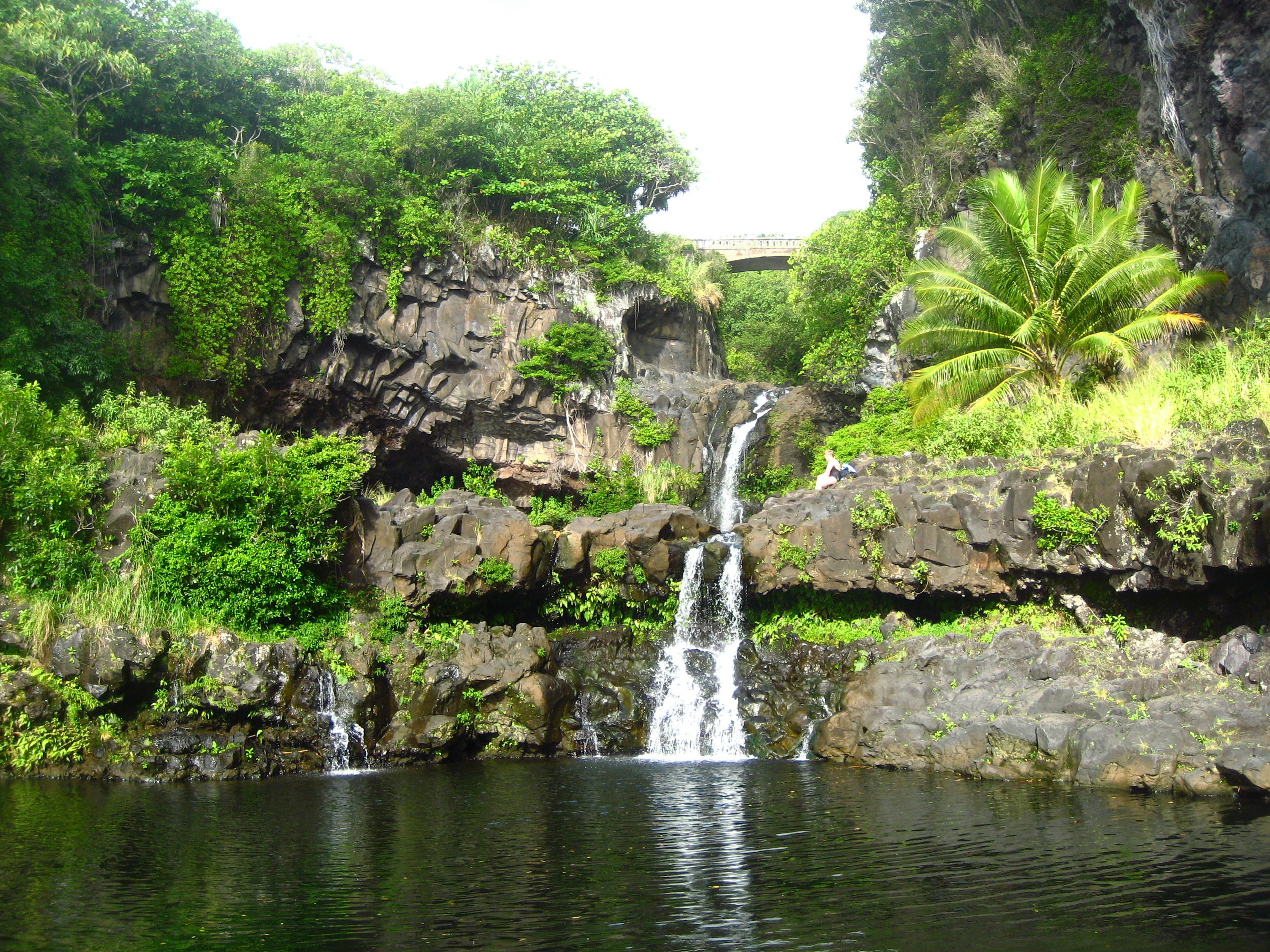 A waterfall and pool surrounded by lush forest at O'heo Gulch, Seven Sacred Pools