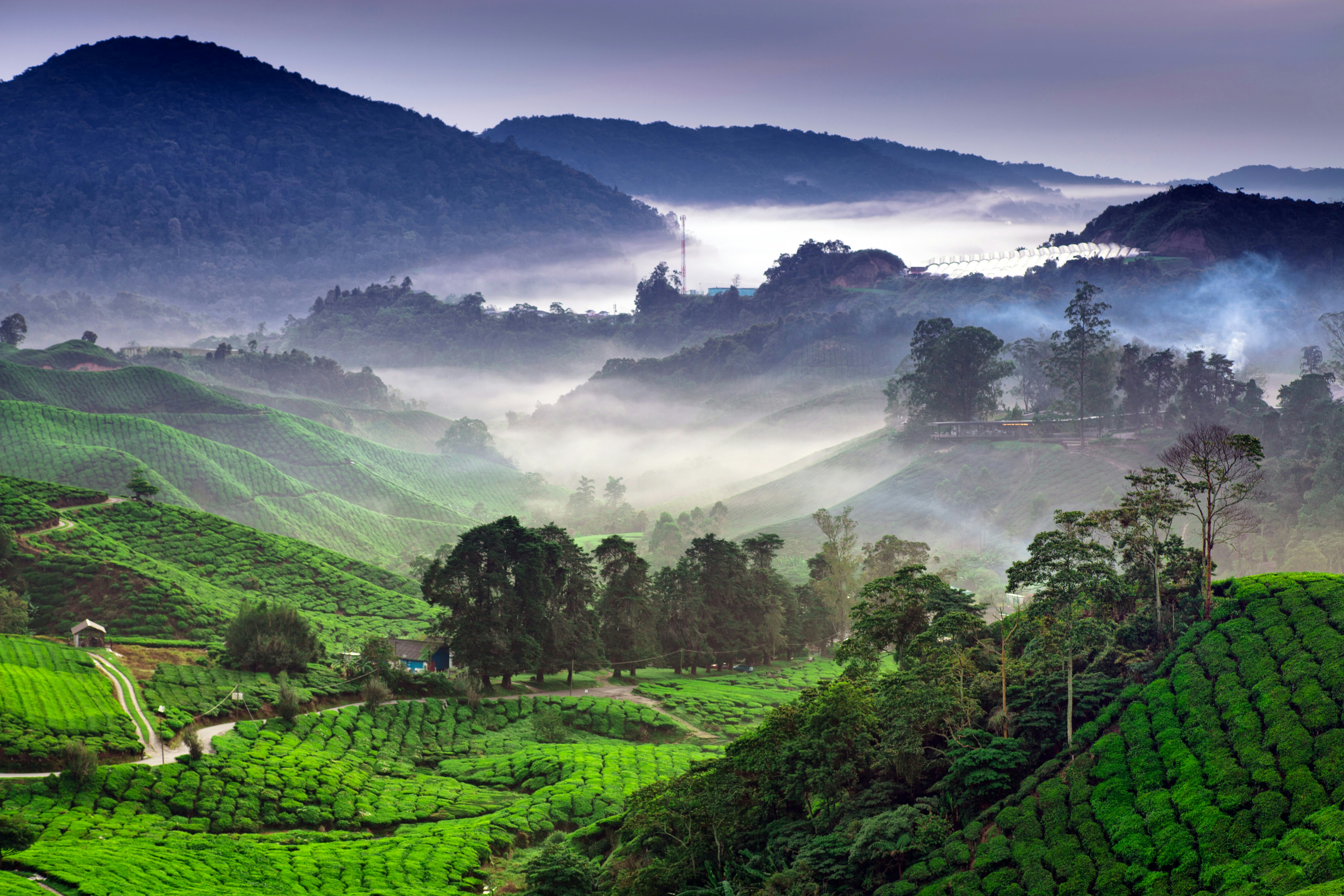 Mountainous landscape and misty valleys in the Cameron Highlands