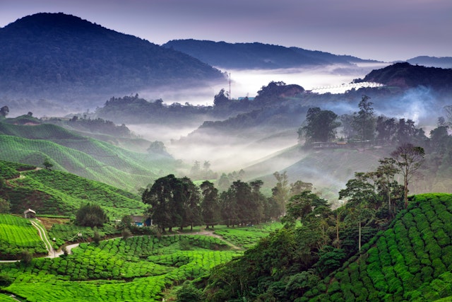 Mountainous landscape and misty valleys in the Cameron Highlands