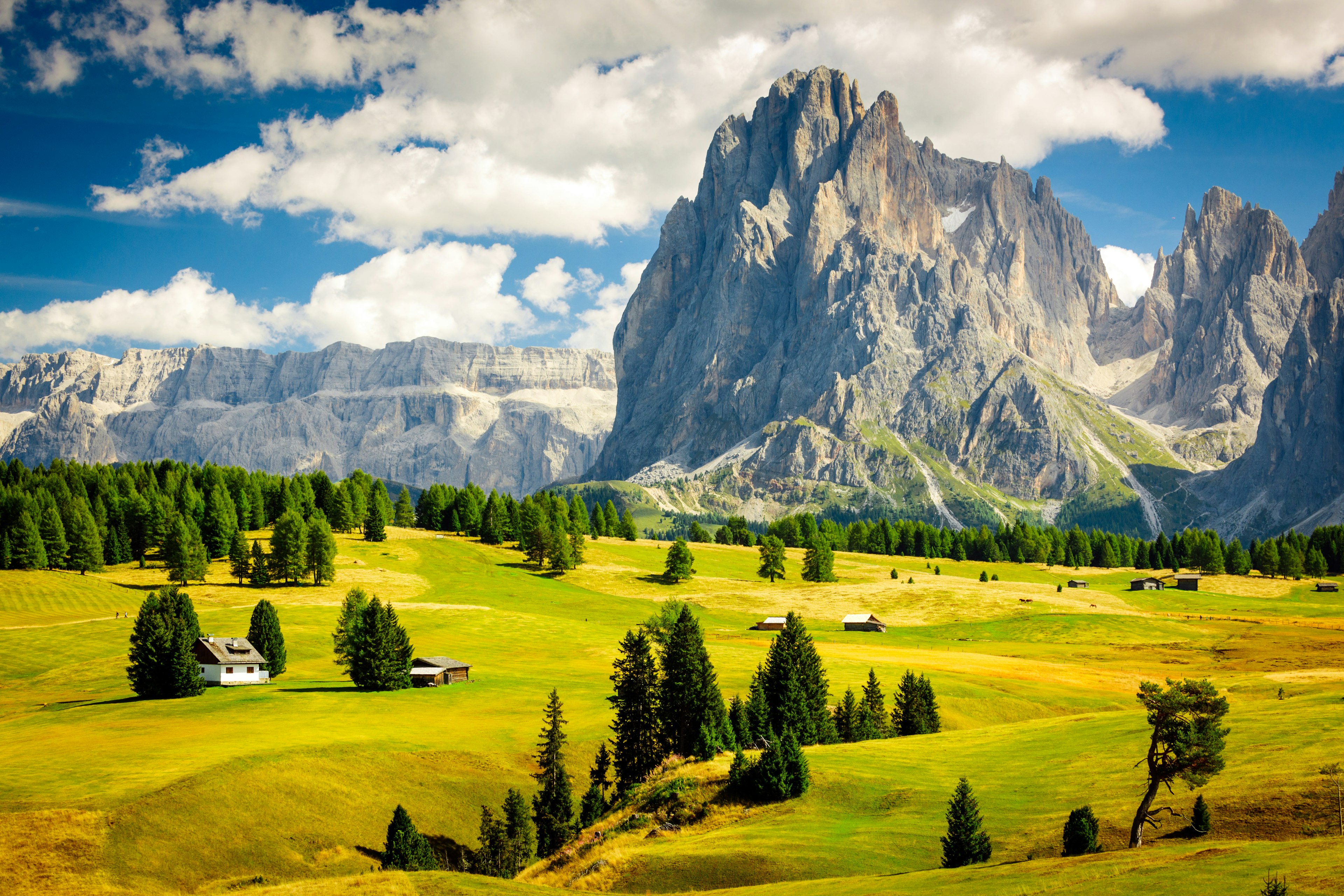 Alpine landscape