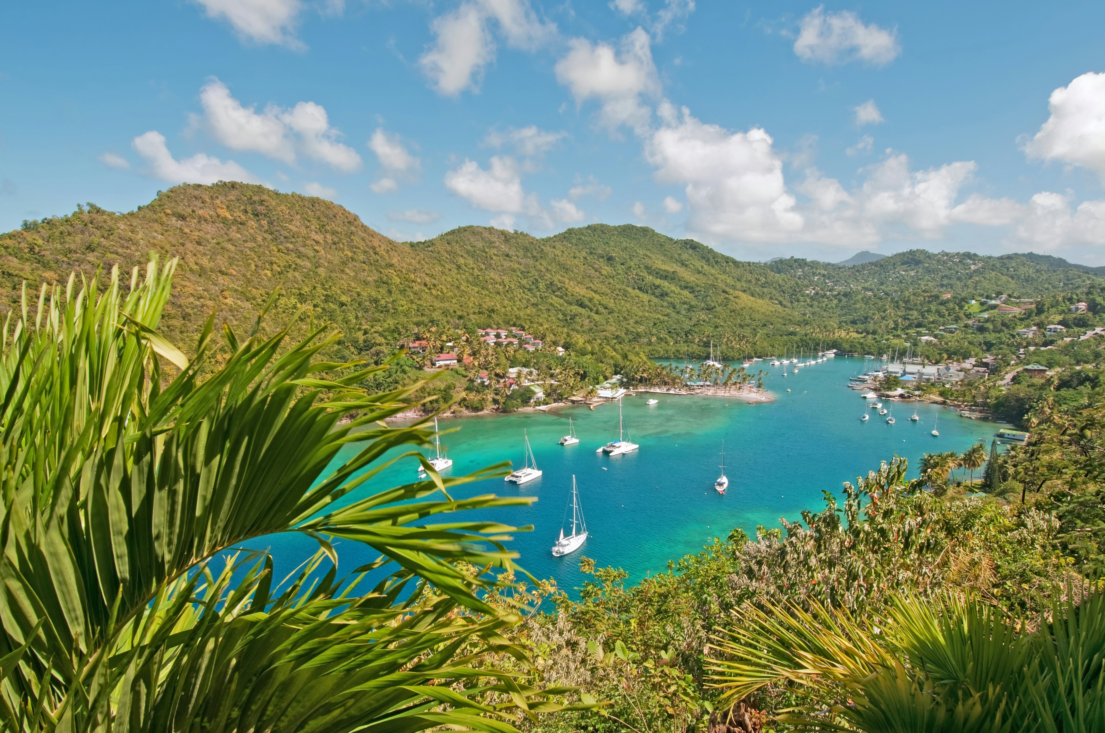 A bay with sailing ships surrounded by green hills