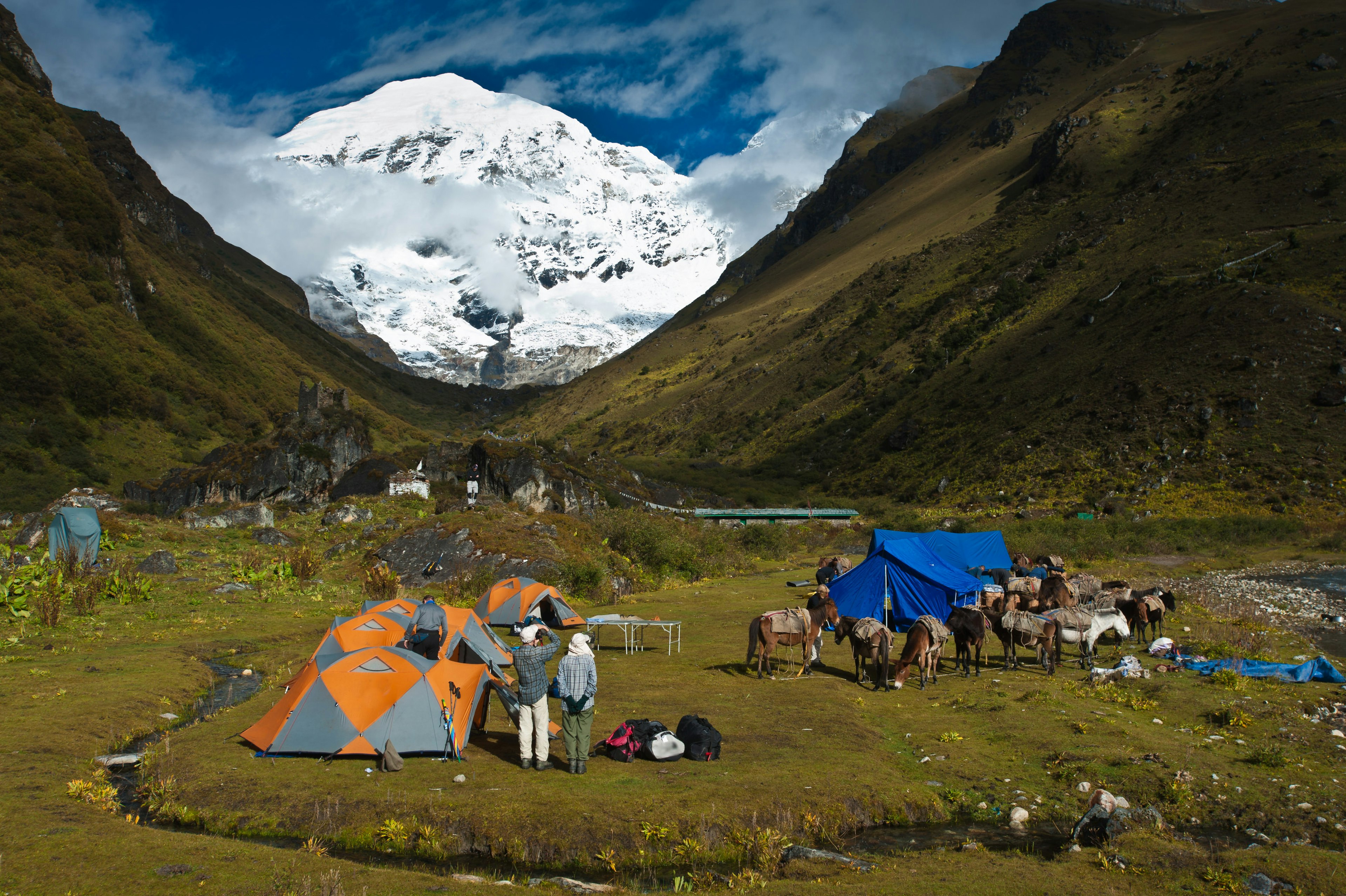 Tents and pack animals at Jhomolhari Base Camp above Thimphu, Bhutan.