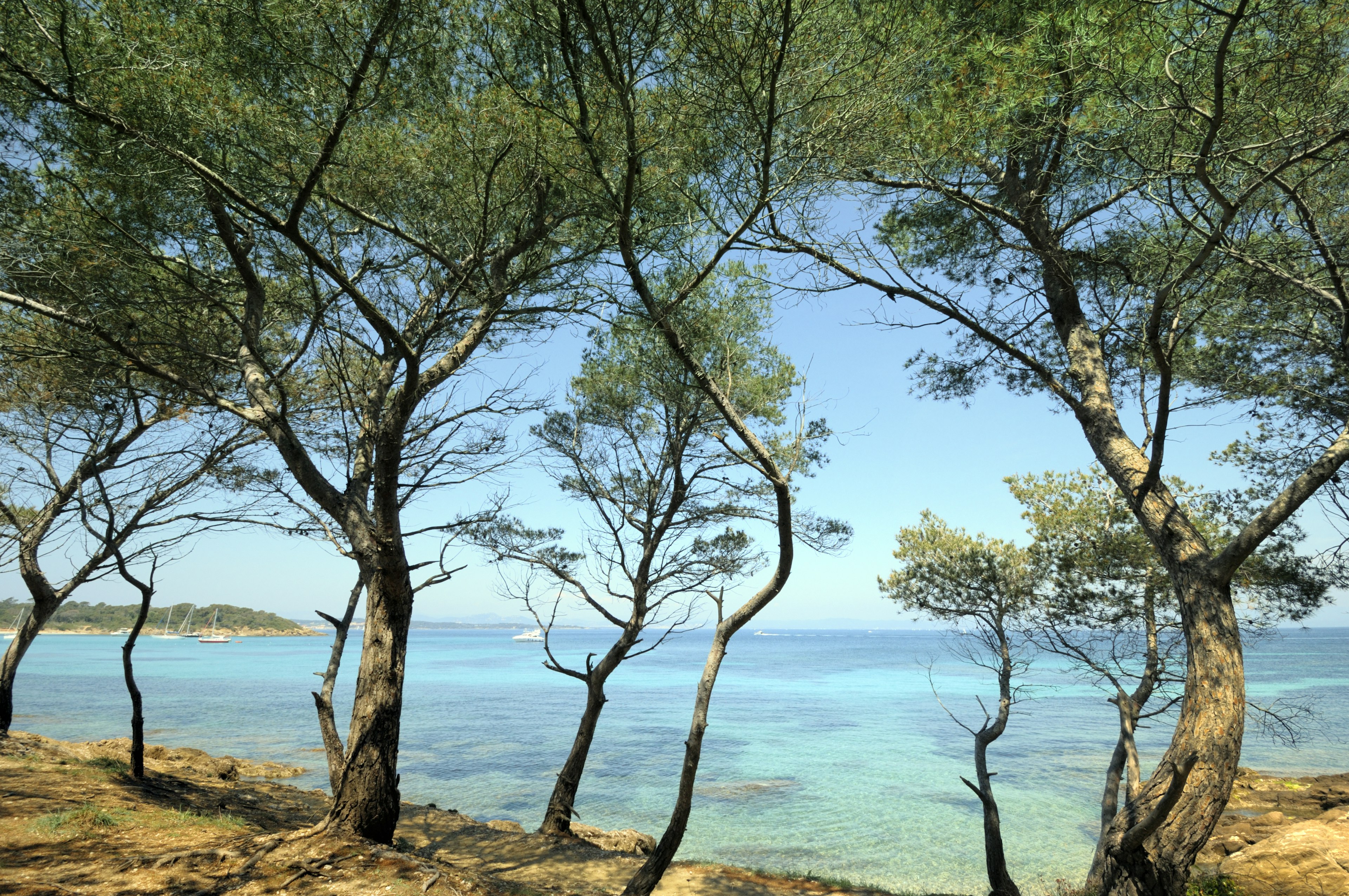 Rocky shore of the island of Porquerolles and blue water of the Mediterranean Sea on the French Riviera