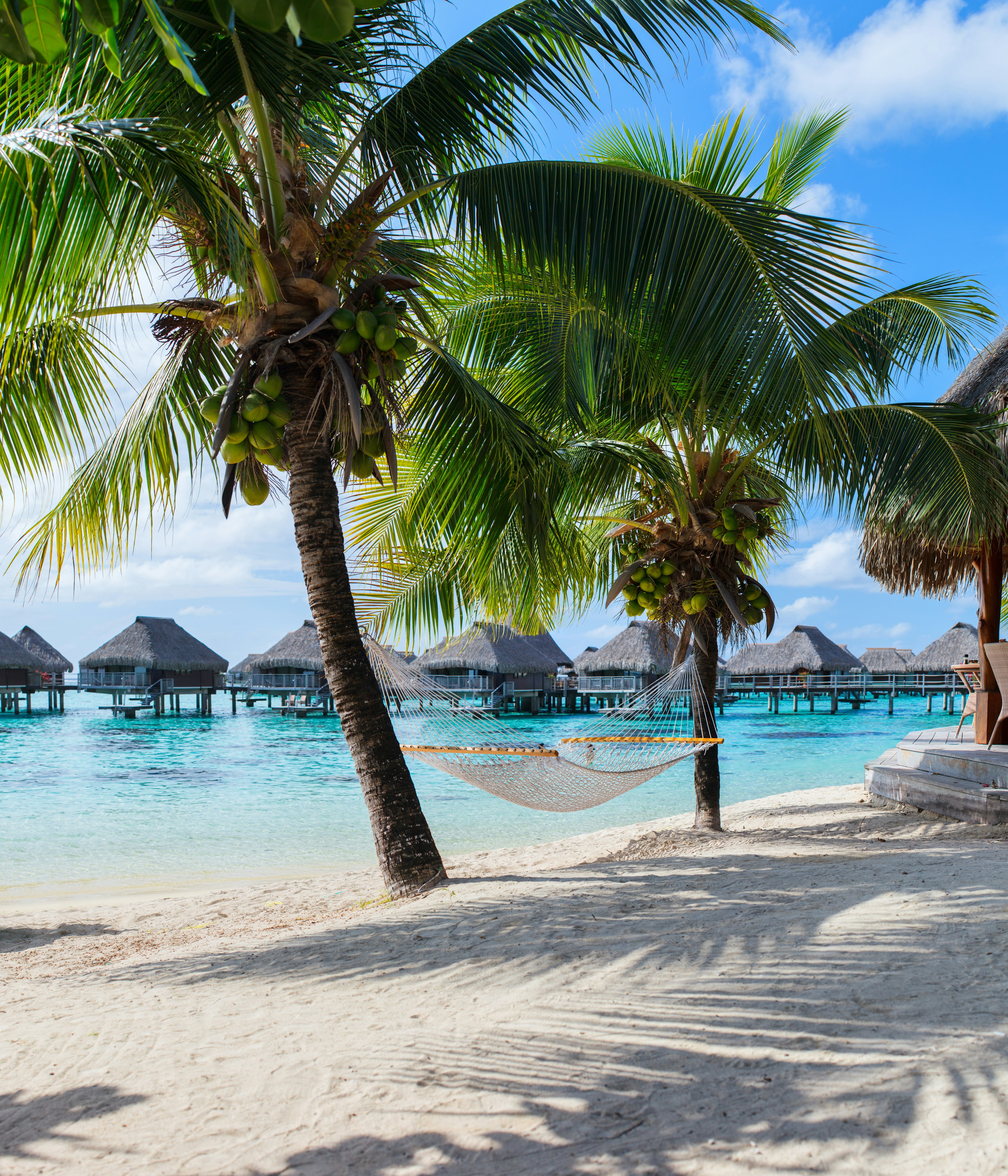 Hammock at beach on Moorea island in French Polynesia