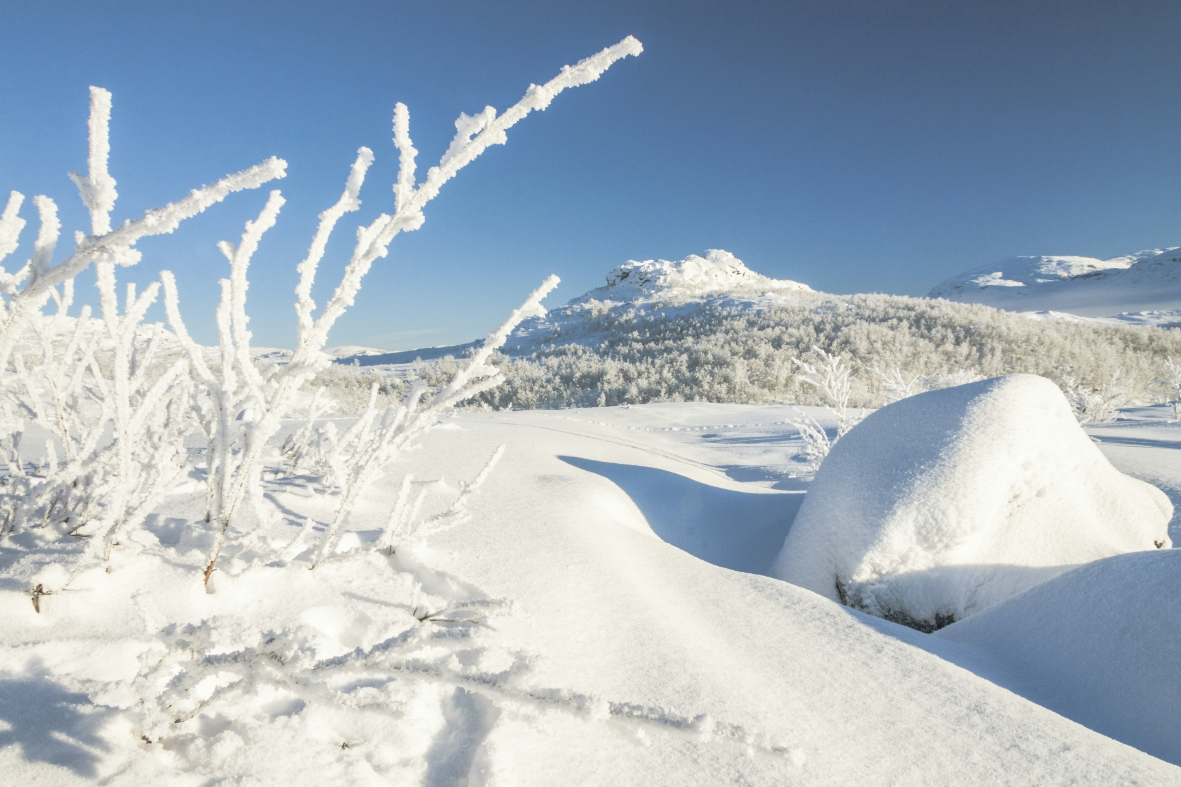 Winter landscape in Riksgränsen, Kiruna, Sweden