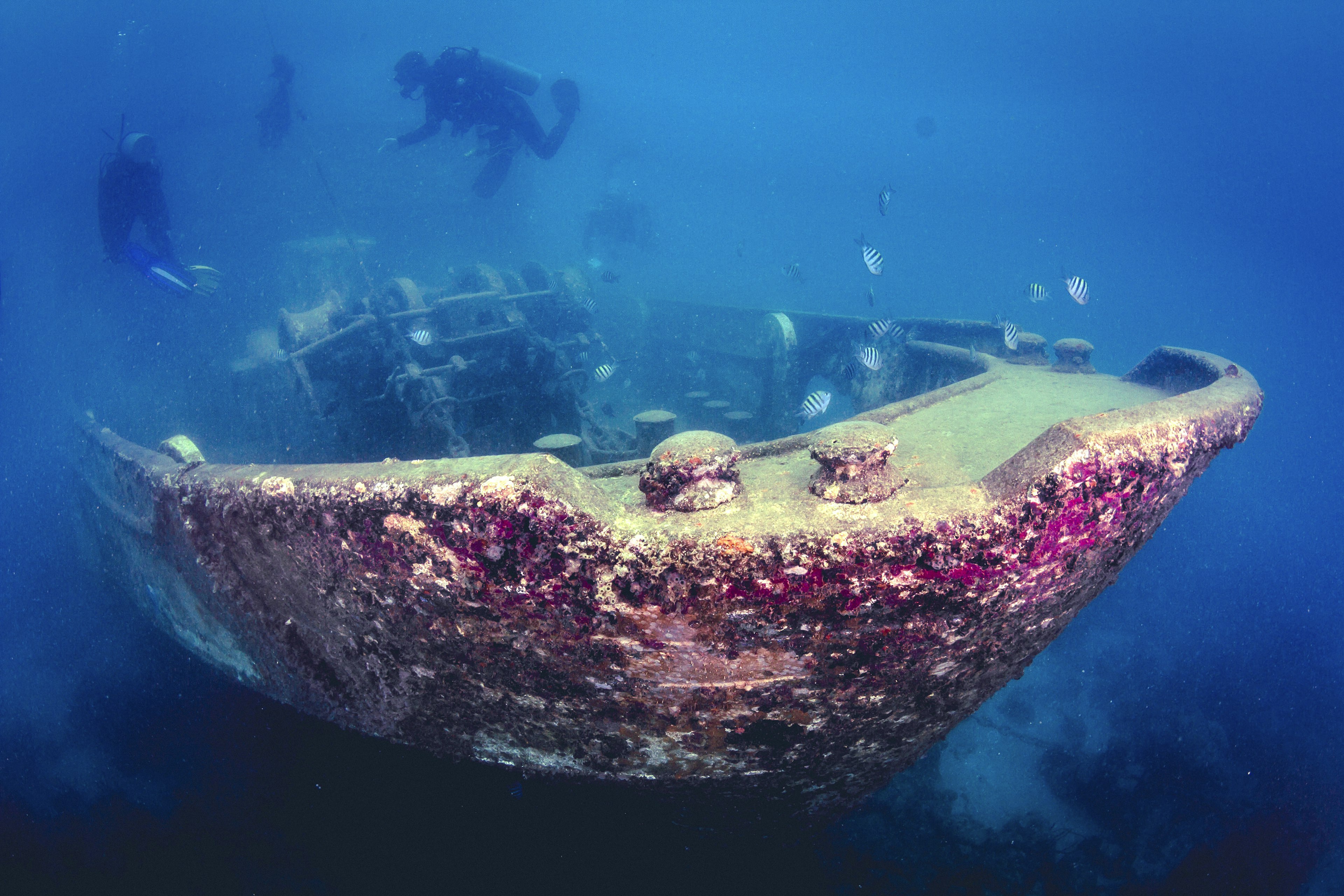 Divers swimming above the Atlantic Princes shipwreck in the Caribbean Sea off the Dominican Republic.