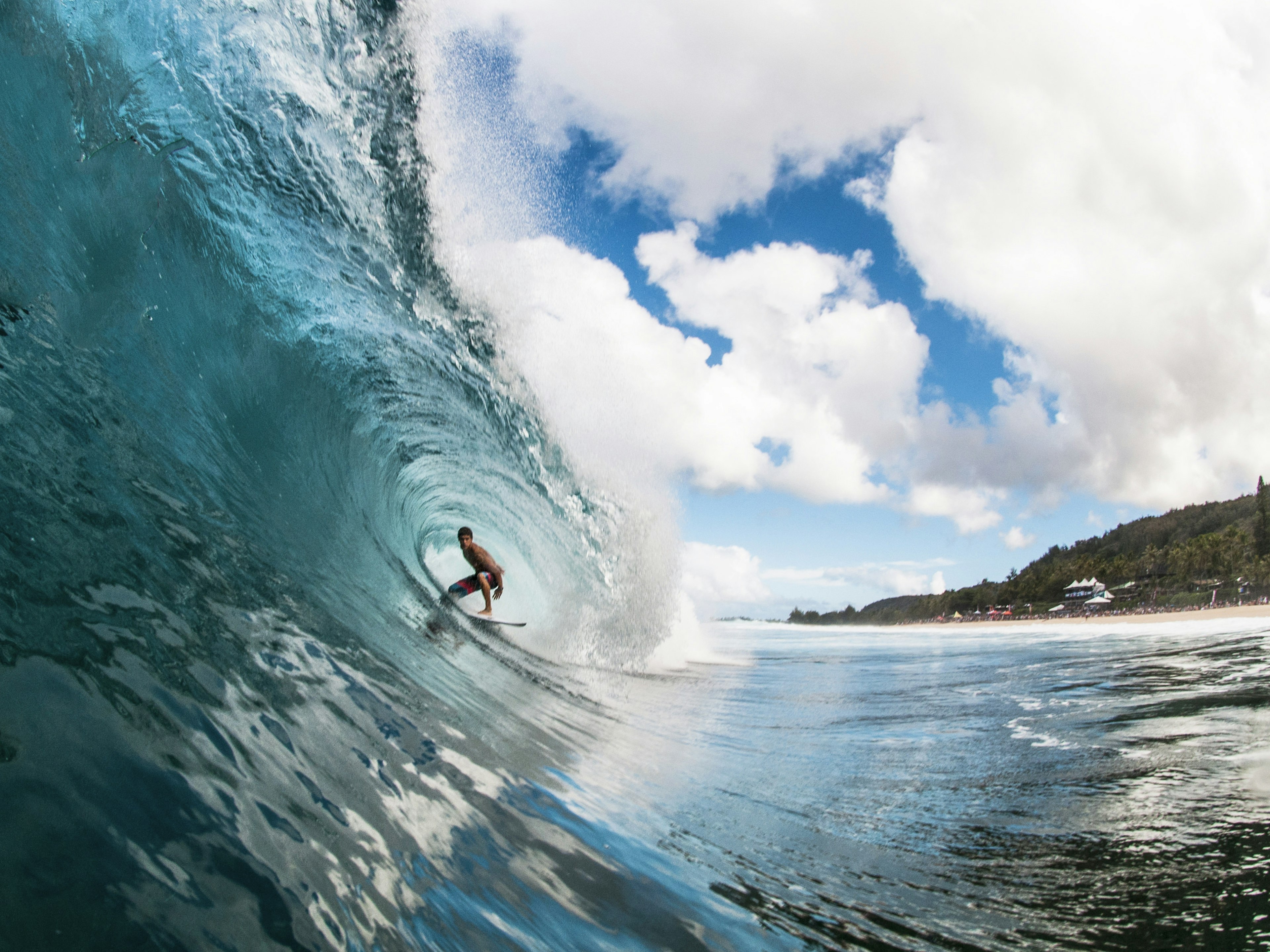 A man surfs in Hawaii