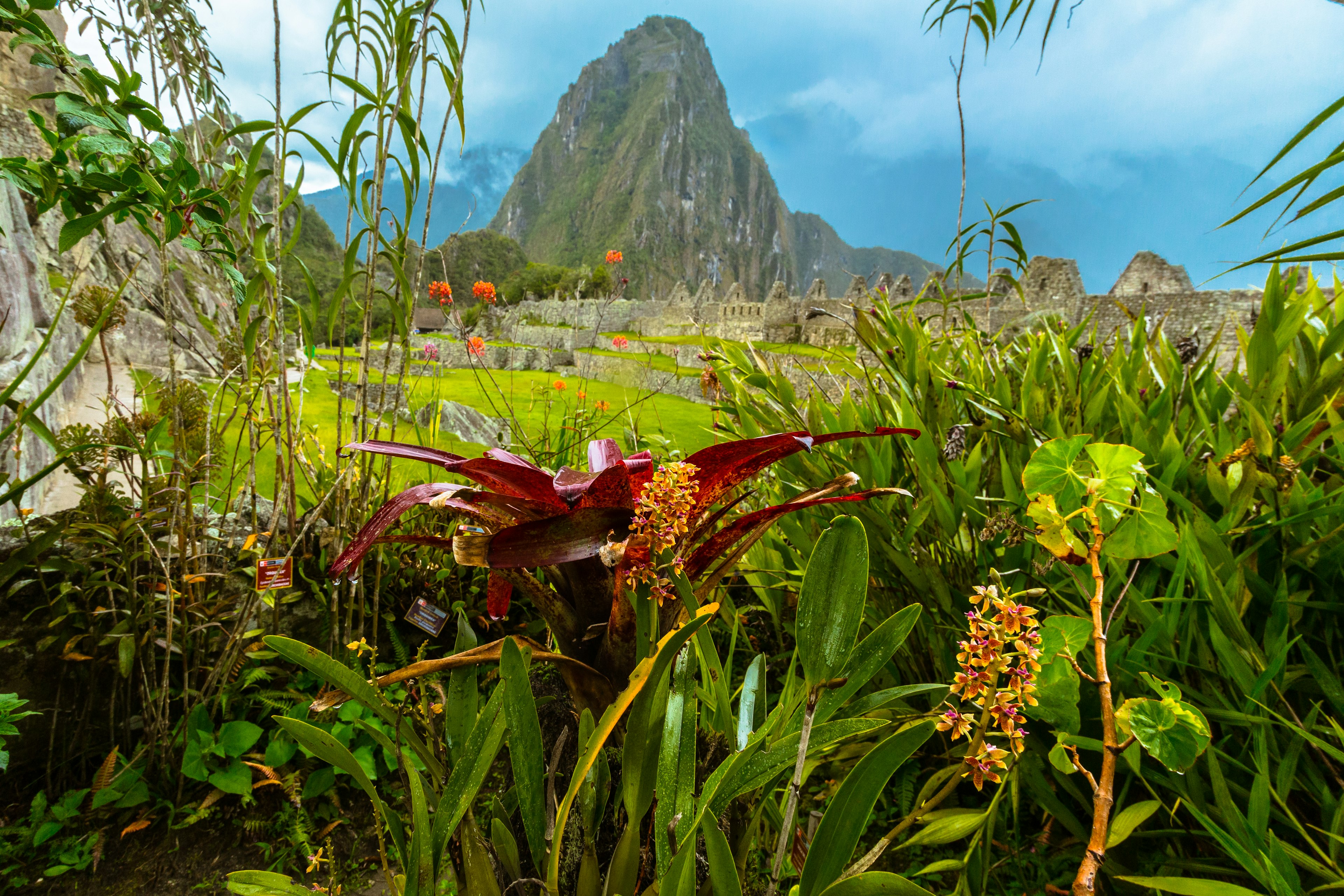 Meditating on Machu Picchu