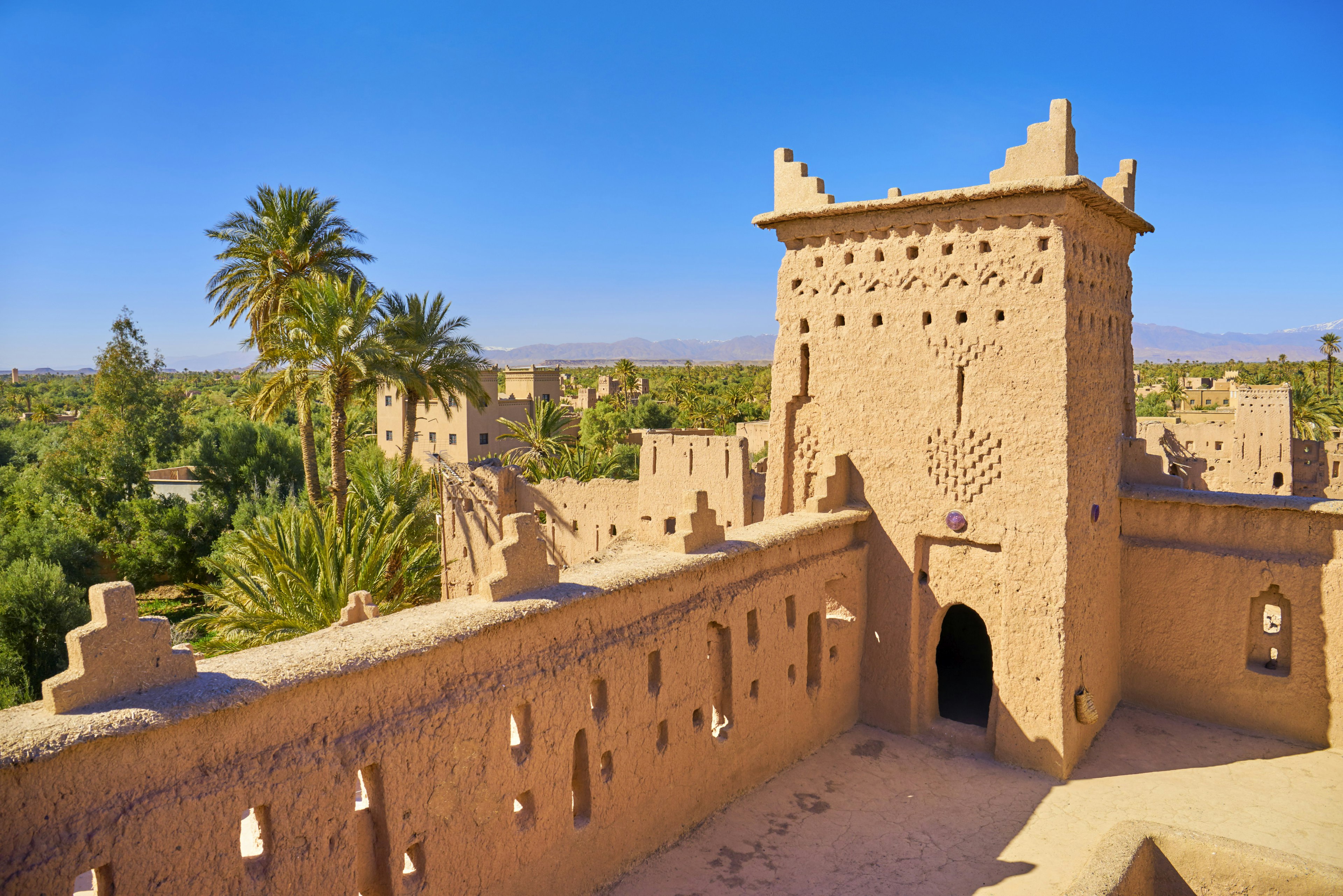 Palm trees surround a kasbah building in an oasis