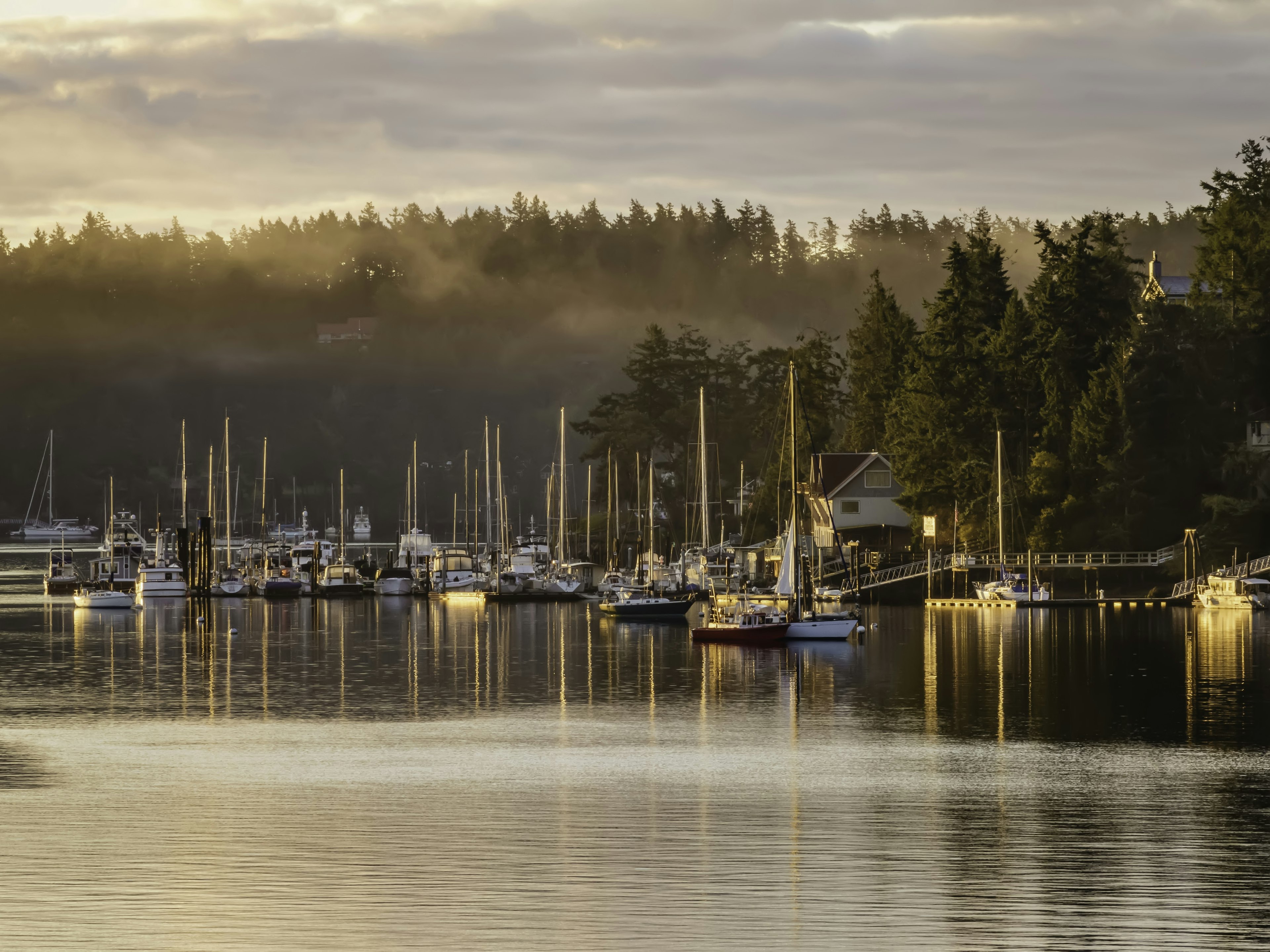 Sailboats in a foggy marina during sunrise at Friday Harbor in the San Juan Islands