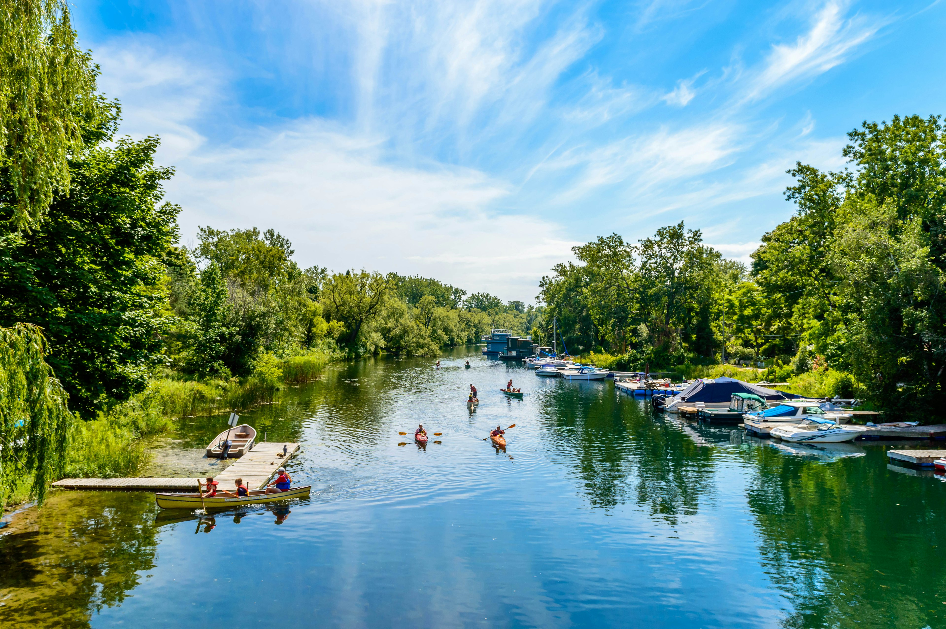 Kayakers in the water between leafy coasts