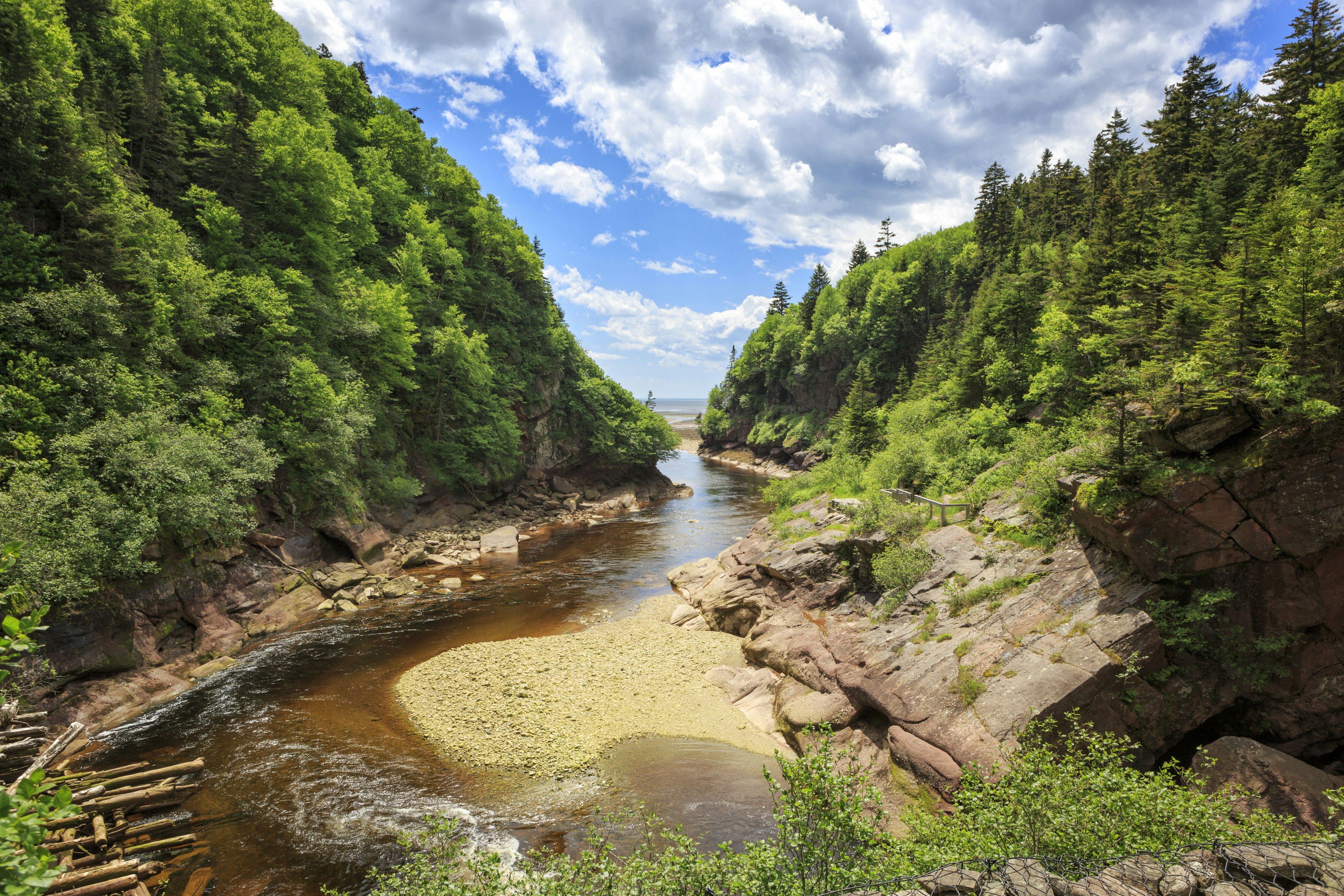 A tidal waterway between two foliage-covered hills