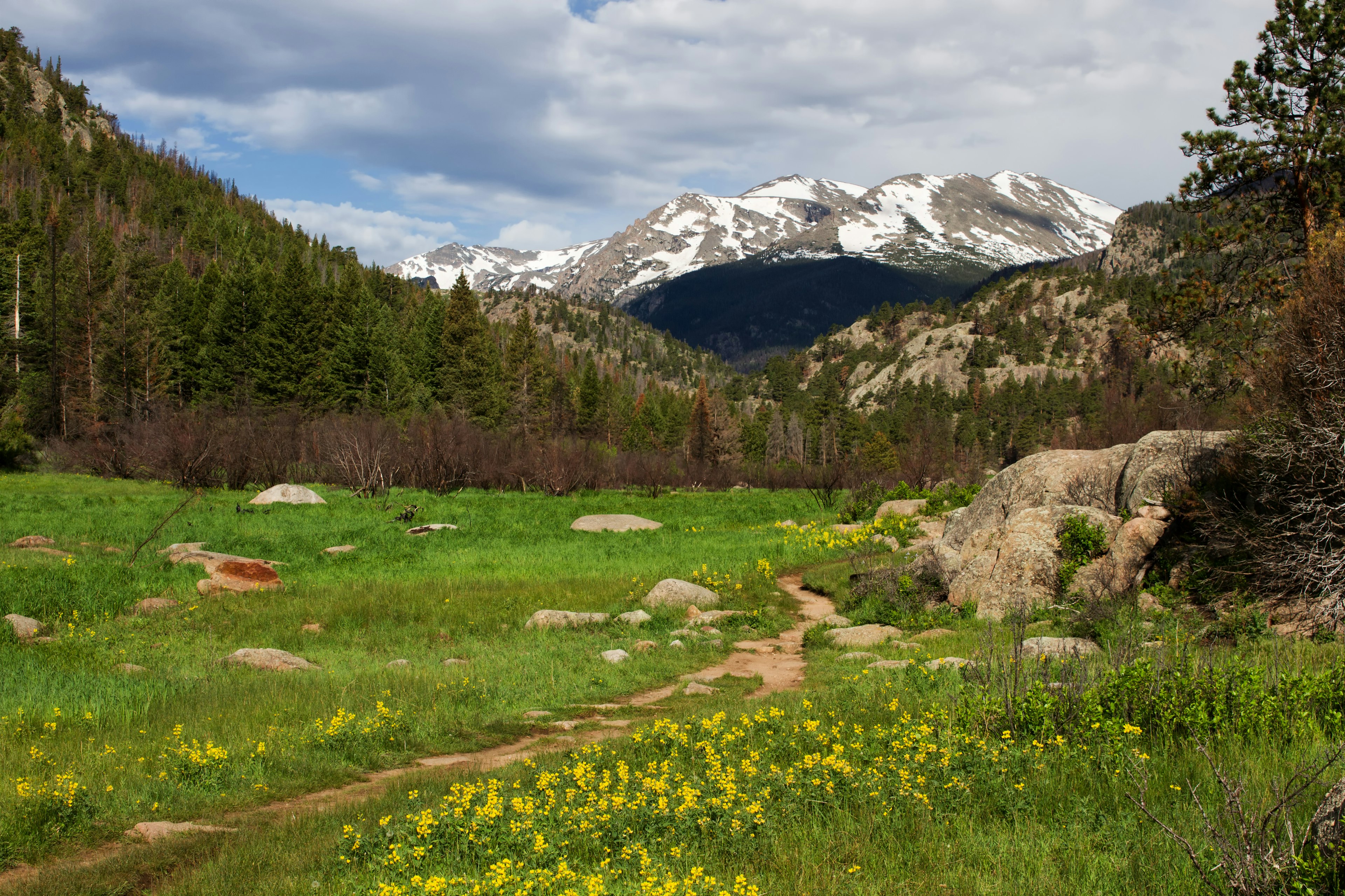 Cub Lake Trail in Rocky Mountain National Park