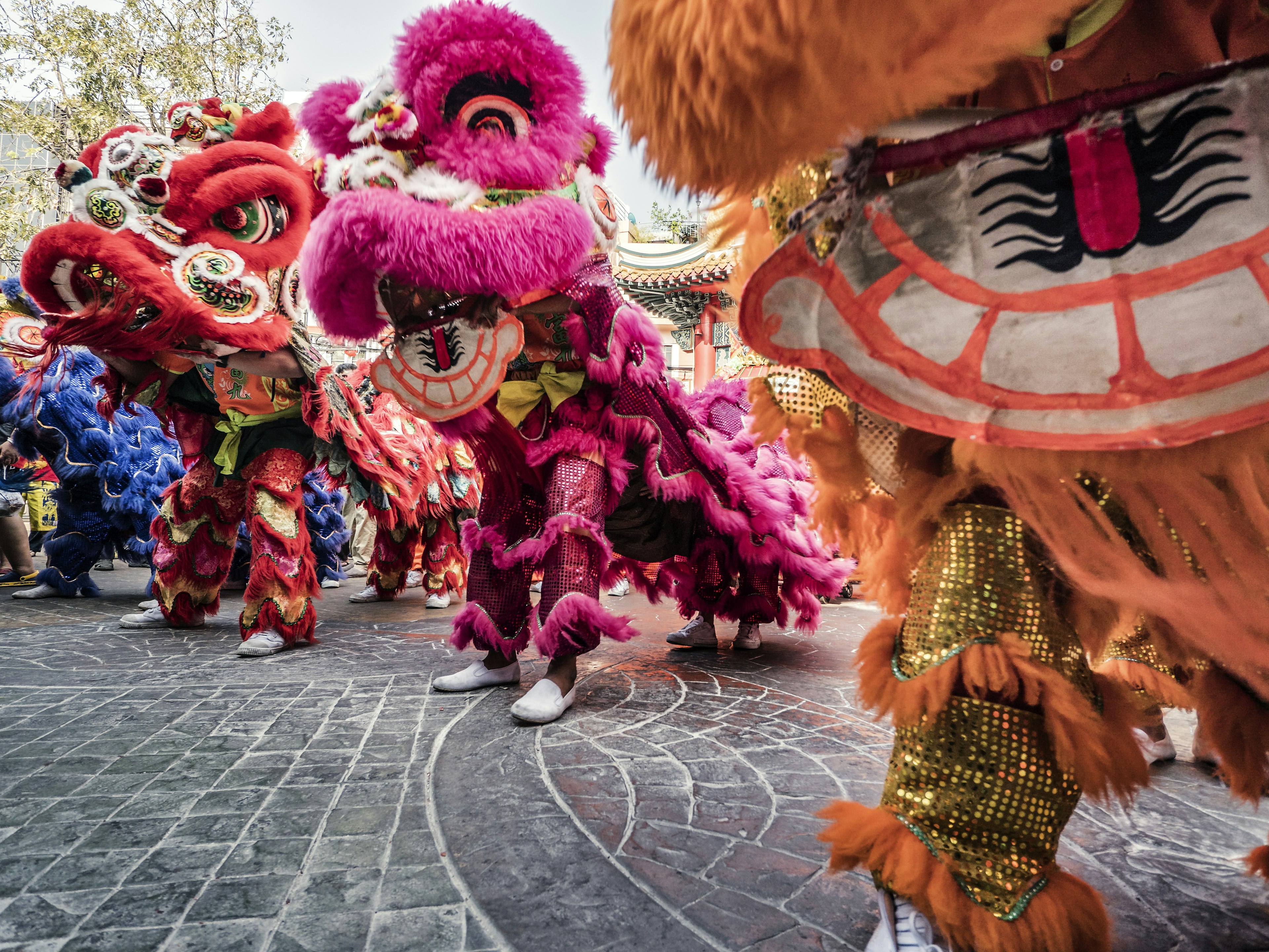 Lion dance at Yaowarat Road during the celebration of the Chinese New Year in Chinatown Bangkok Thailand