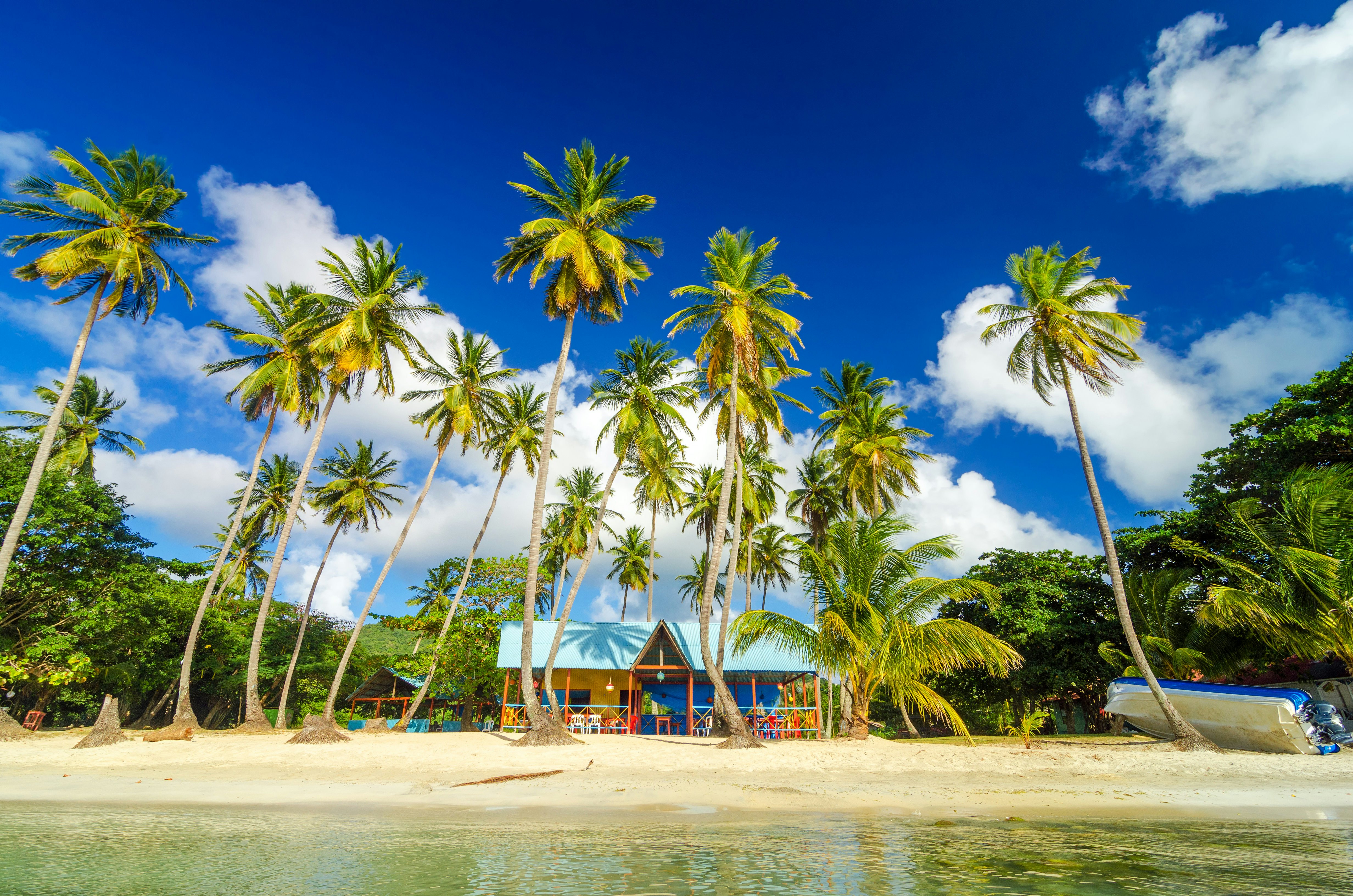 Colorful shack on a beach surrounded by palm trees in San Andres y Providencia, Colombia