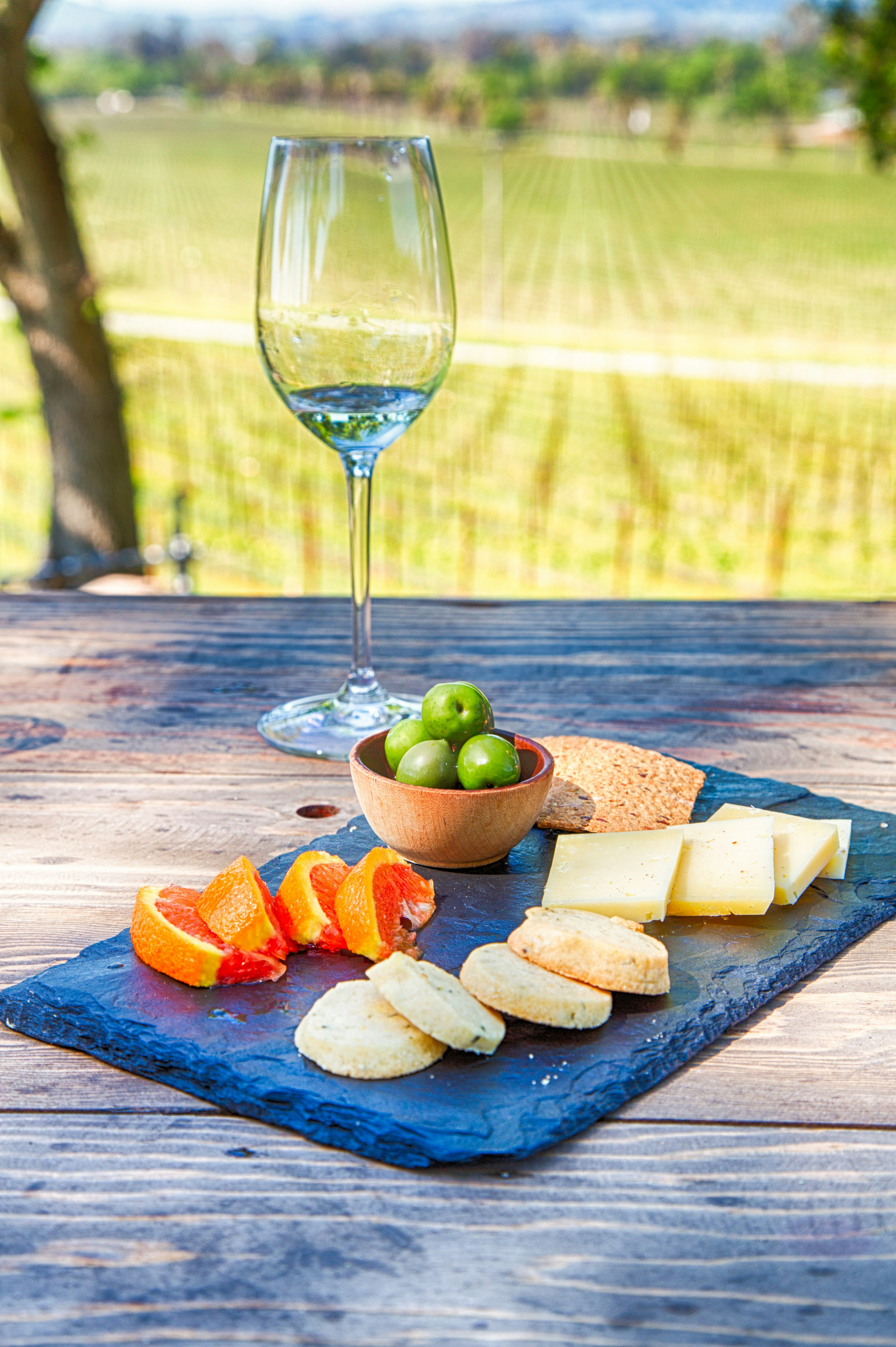 A traditional wine tasting at a Sonoma County vineyard