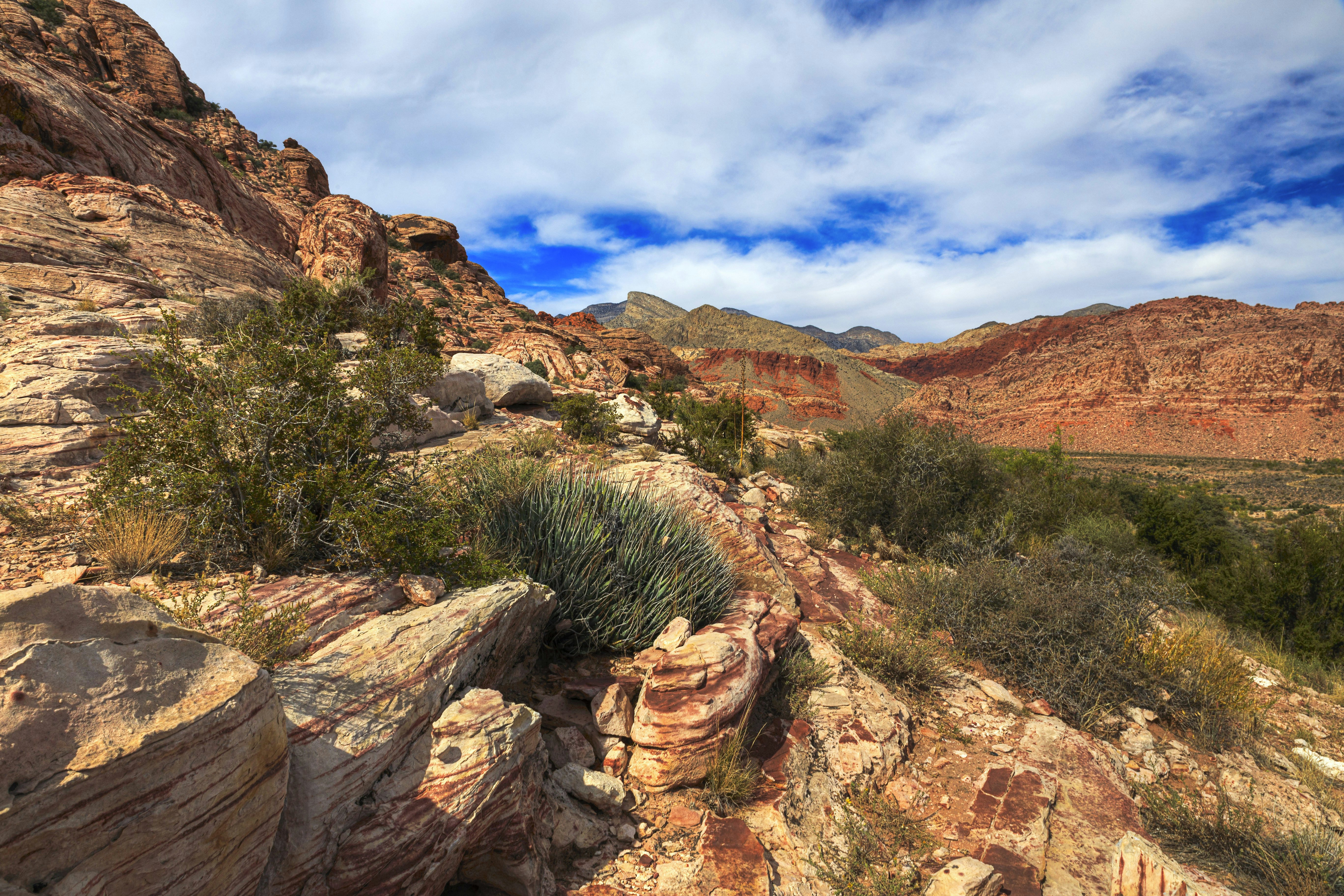 Red Rock Canyon National Conservation Area