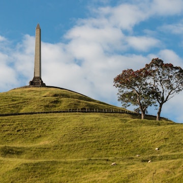 Horizontal Outdoors Monument Park - Man Made Space Sheep Tree Sky Cloud - Sky Hill Mountain Peak Volcano Meadow Pasture Volcanic Crater New Zealand Auckland Sunlight Grass Obelisk Cloudscape No People Photography Pohutukawa Tree
One Tree Hill monument in Auckland, New Zealand