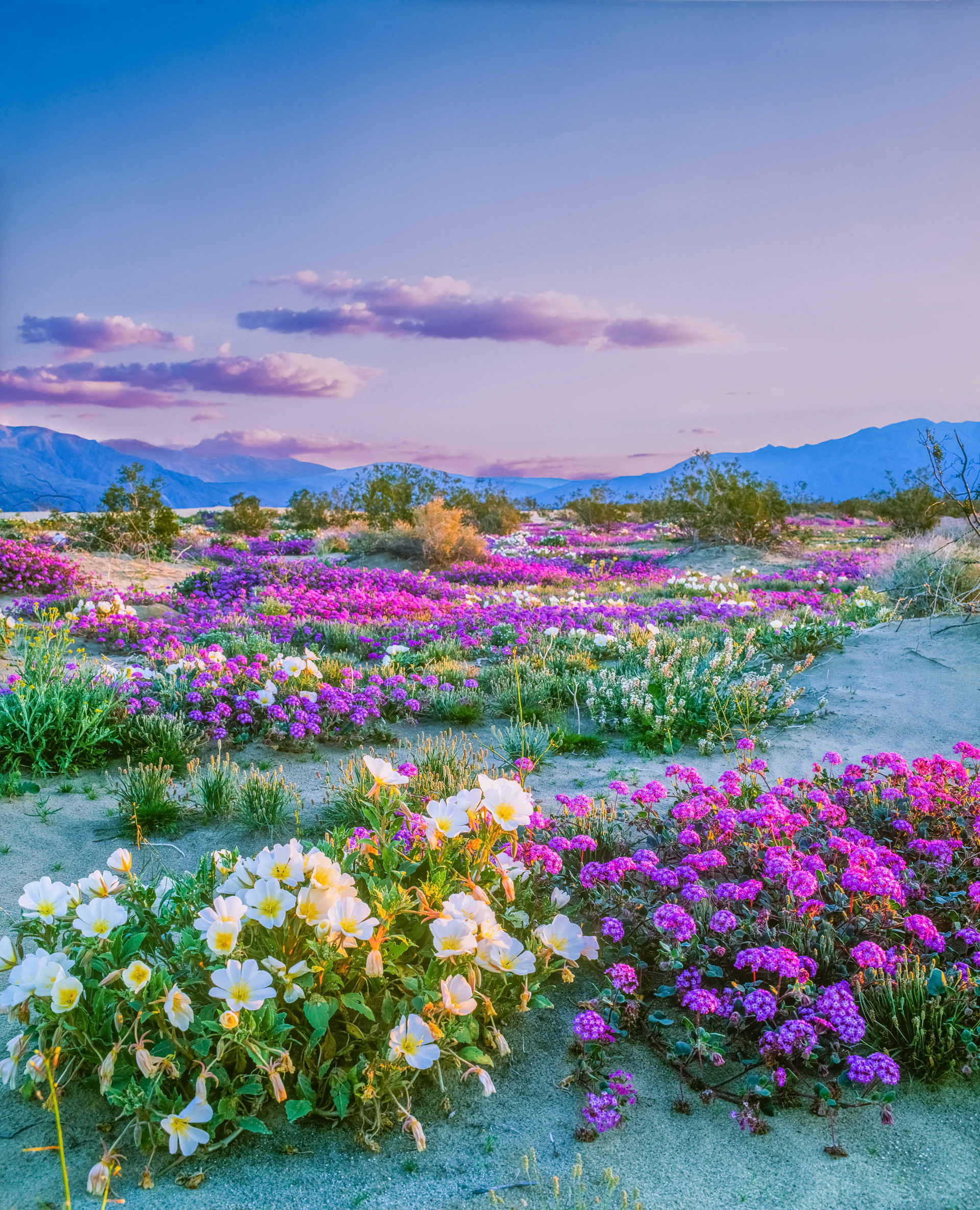 Here’s the best time to visit San Diego - Lonely Planet