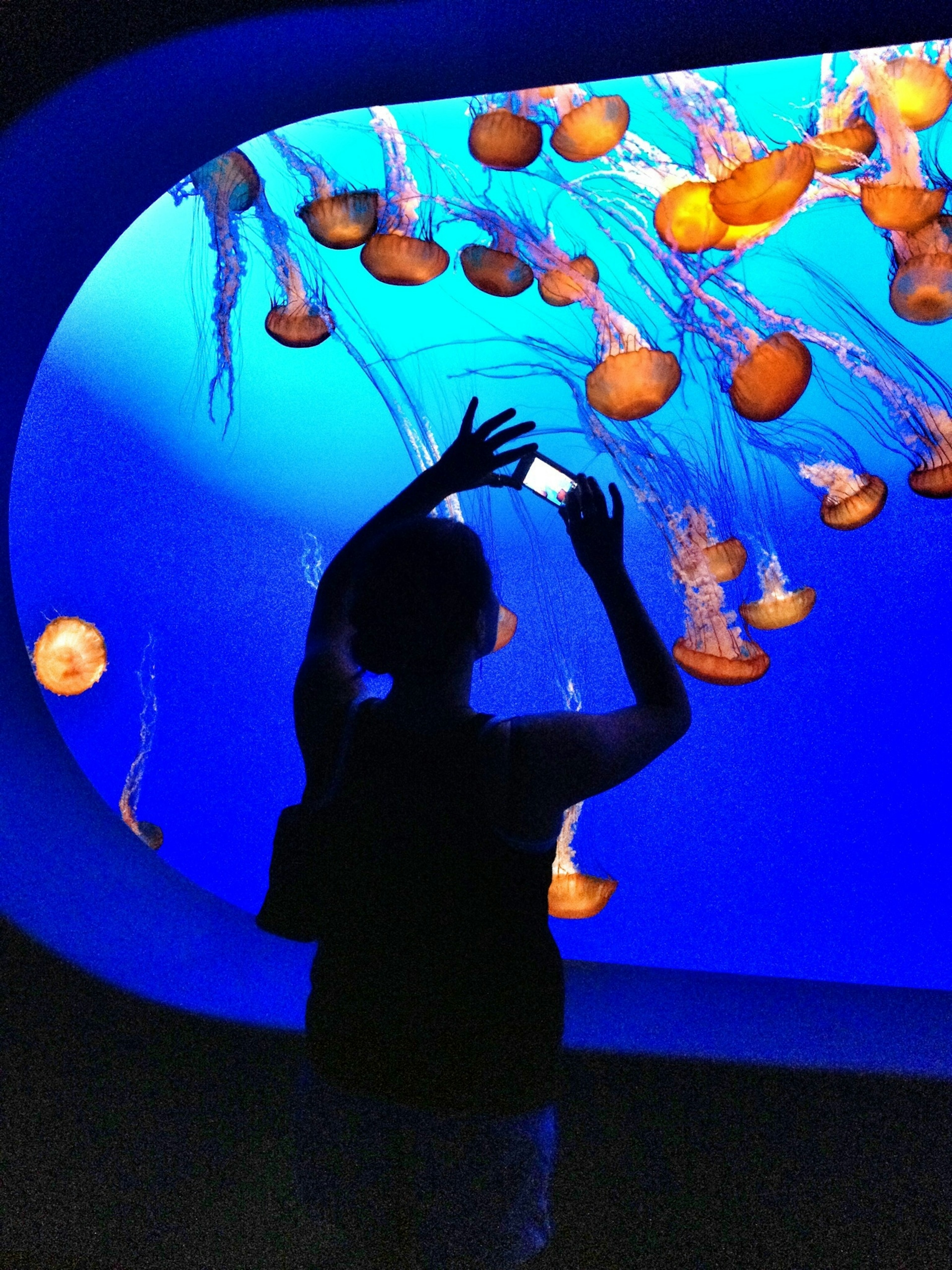 Monterey Bay Aquarium